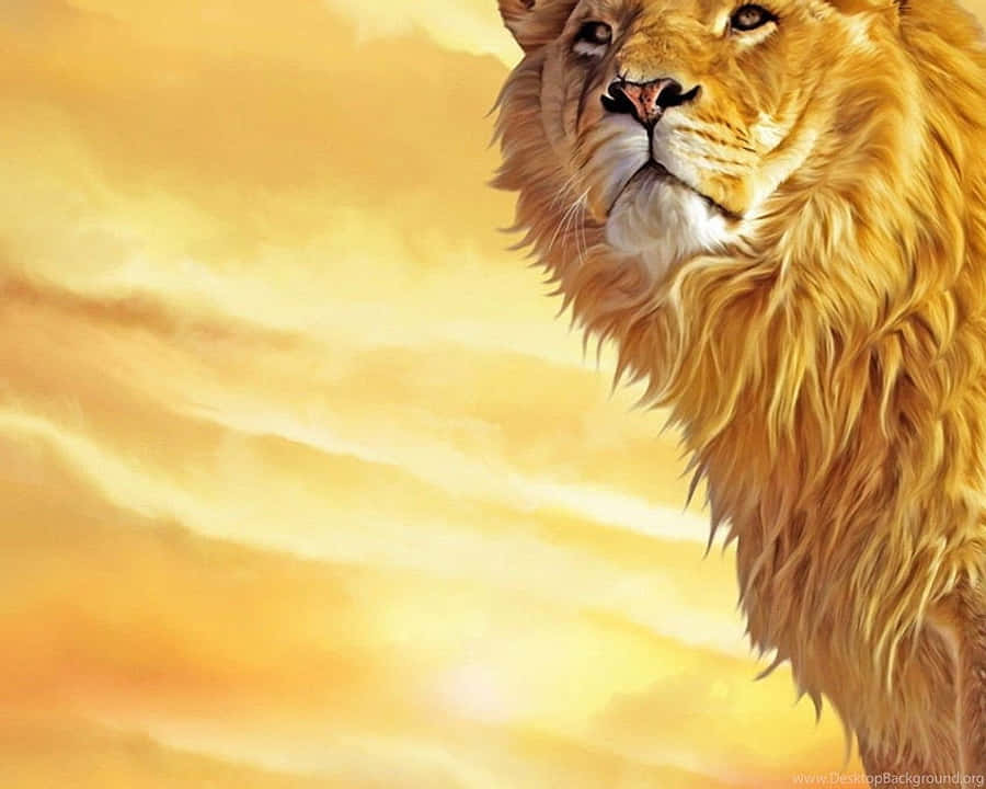 獅子 桌布 壁紙 — 一頭擁有豐滿金色鬃毛的雄獅，在溫暖的夕陽天空下向前凝視，天空塗上柔和的橙色和黃色色調。