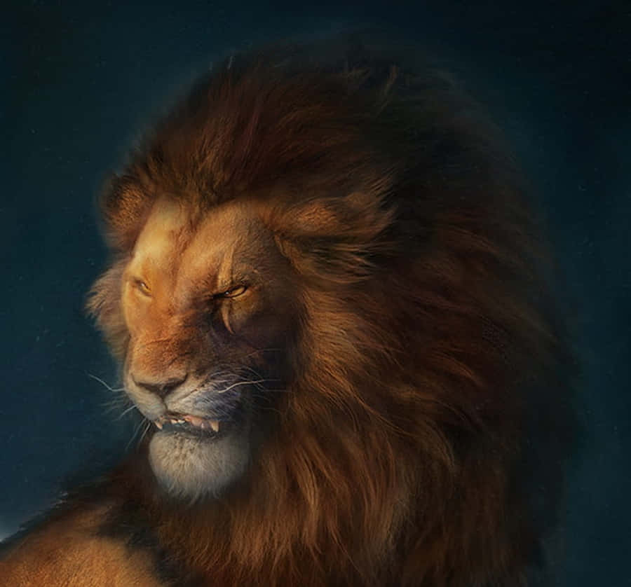 Lion King Scar 桌布 壁紙 — 一頭擁有豐滿鬃毛的雄偉雄獅，在深藍色背景下專注地凝視。