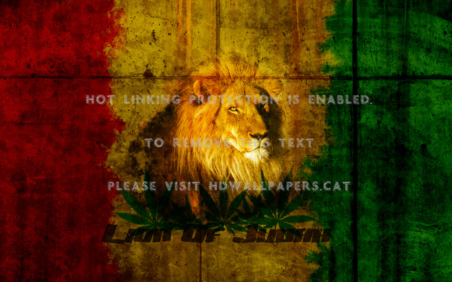 Lion Of Judah 桌布 壁紙 — 一頭擁有豐滿鬃毛的雄獅，在風化的拉斯塔法里旗幟背景前，帶有大麻葉圖案，直視前方。