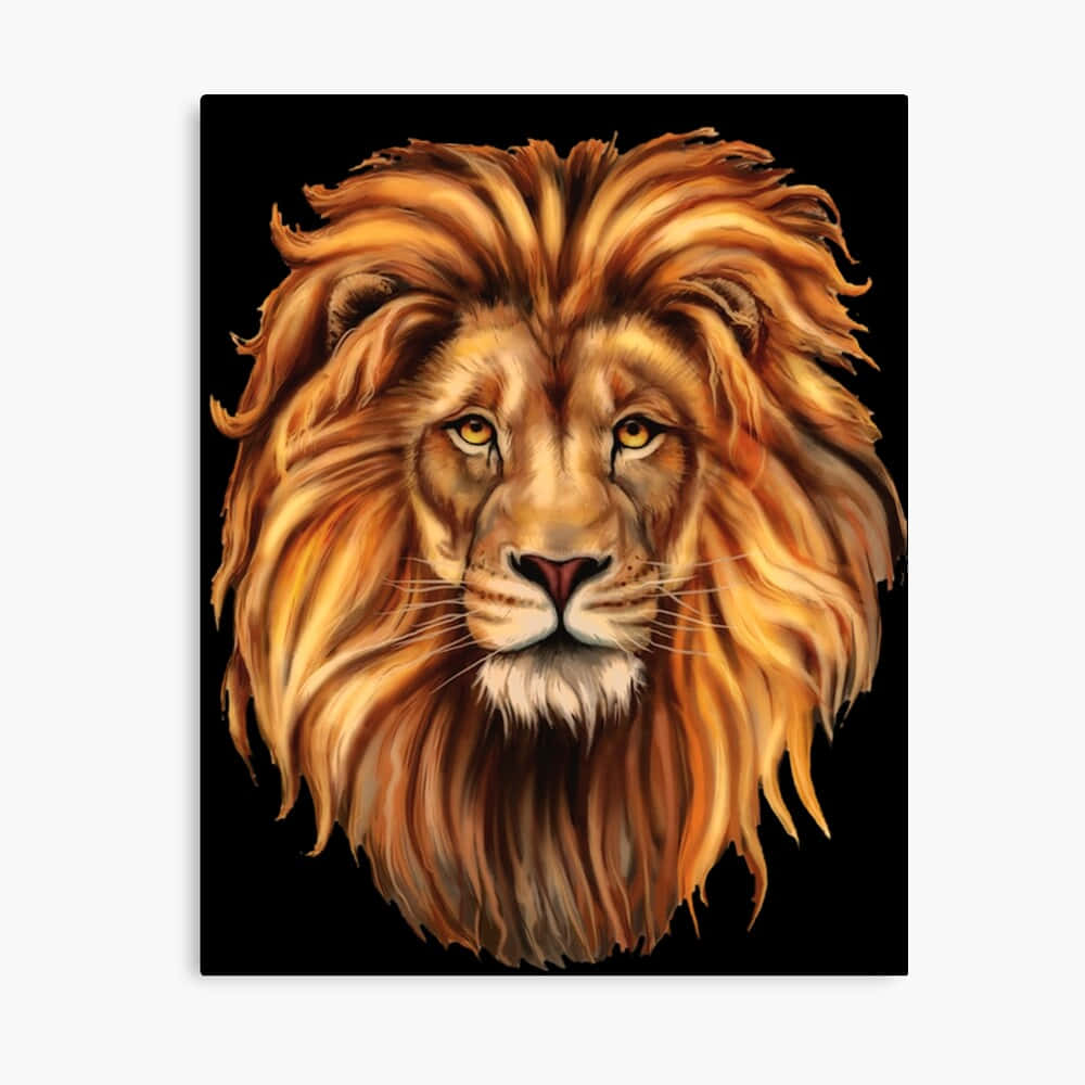 Lion Head 桌布 壁紙 — 一頭擁有金色鬃毛的雄獅，在純黑背景下強烈凝視。