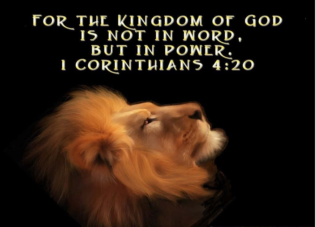 Kingdom Of God 桌布 壁紙 — 一頭擁有金色鬃毛的雄獅，在黑色背景上帶有發光聖經文字的襯托下向上凝視。