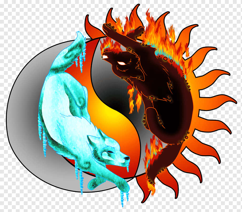 Fire And Ice Wolf 桌布 壁紙 — 一頭火熱的黑狼和一頭冰冷的藍狼形成一個陰陽符號，帶有鮮豔的橙色和青色色調。