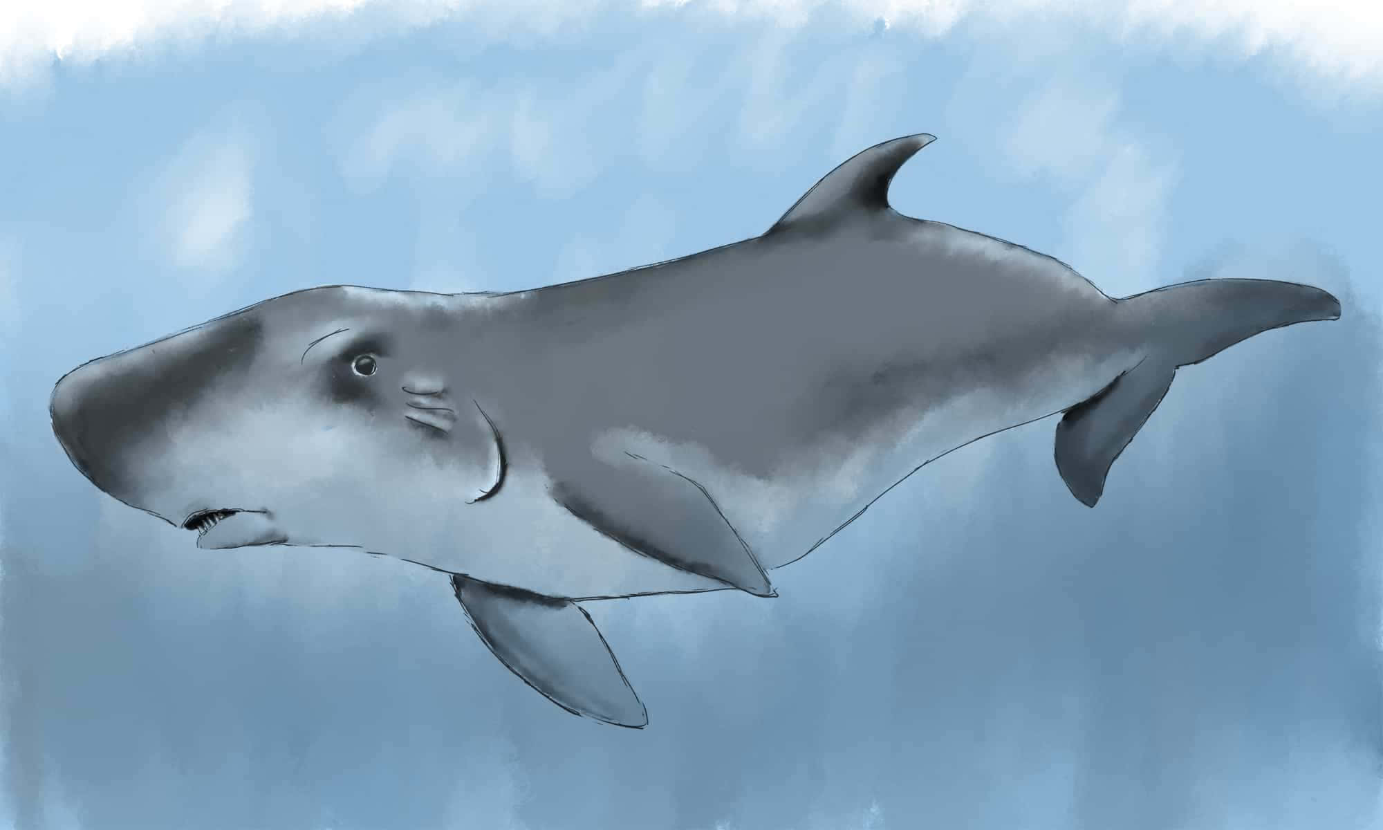 Whale 桌布 壁紙 — 一頭灰鯨在水彩風格的柔和藍色水下場景中優雅地游動。