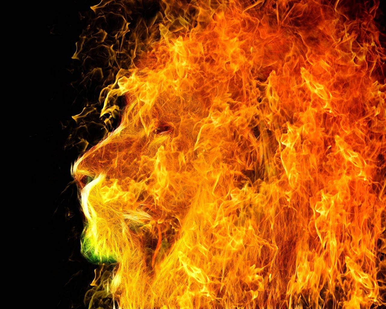 Lion Head 桌布 壁紙 — 一頭獅子的頭從咆哮的火焰中浮現，背景為黑色，帶有發光的橙色和黃色火焰。