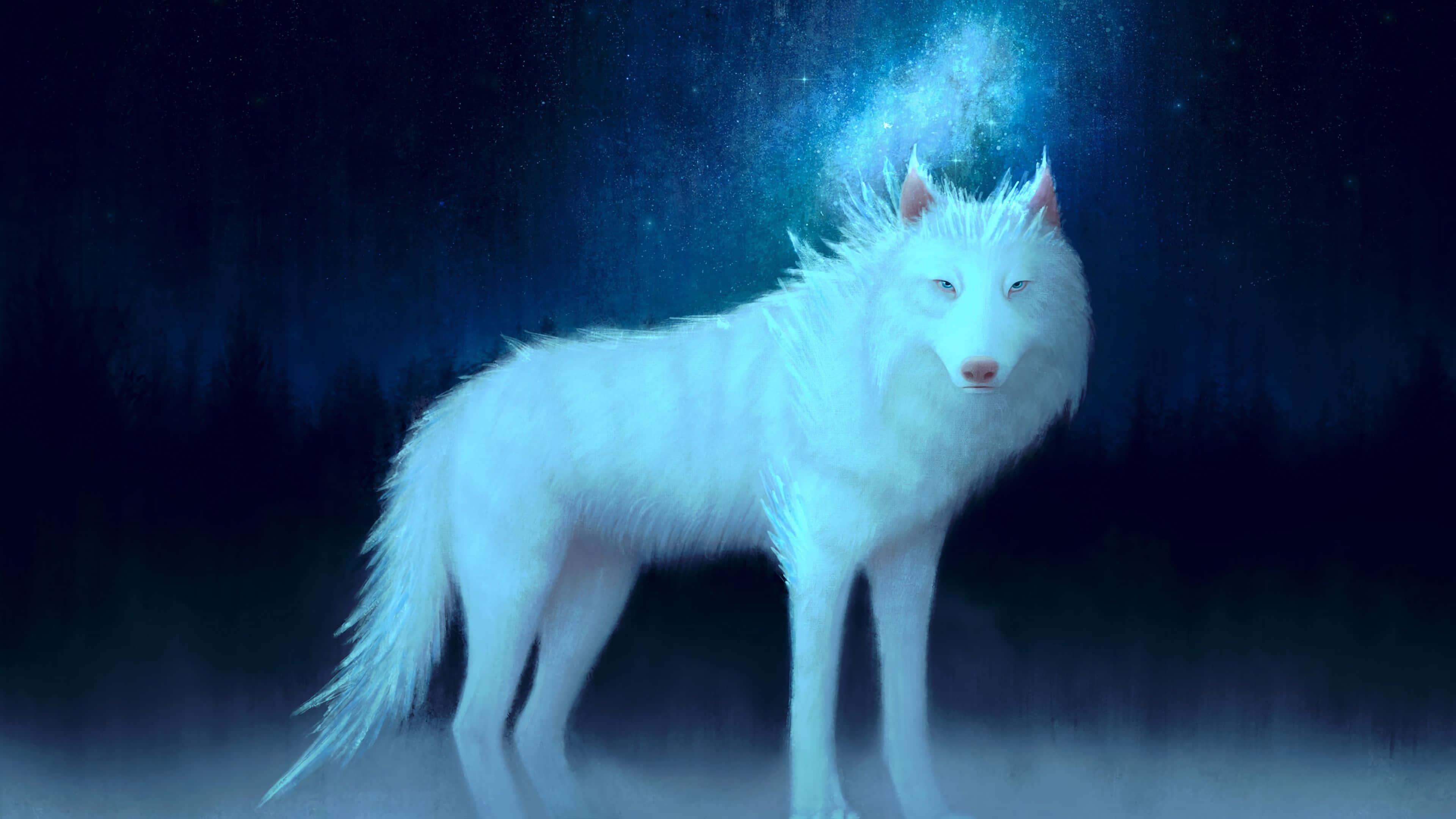 狼 桌布 壁紙 — 一頭發光的白狼站在迷霧森林中，星空下，藍色能量在頭頂旋轉。