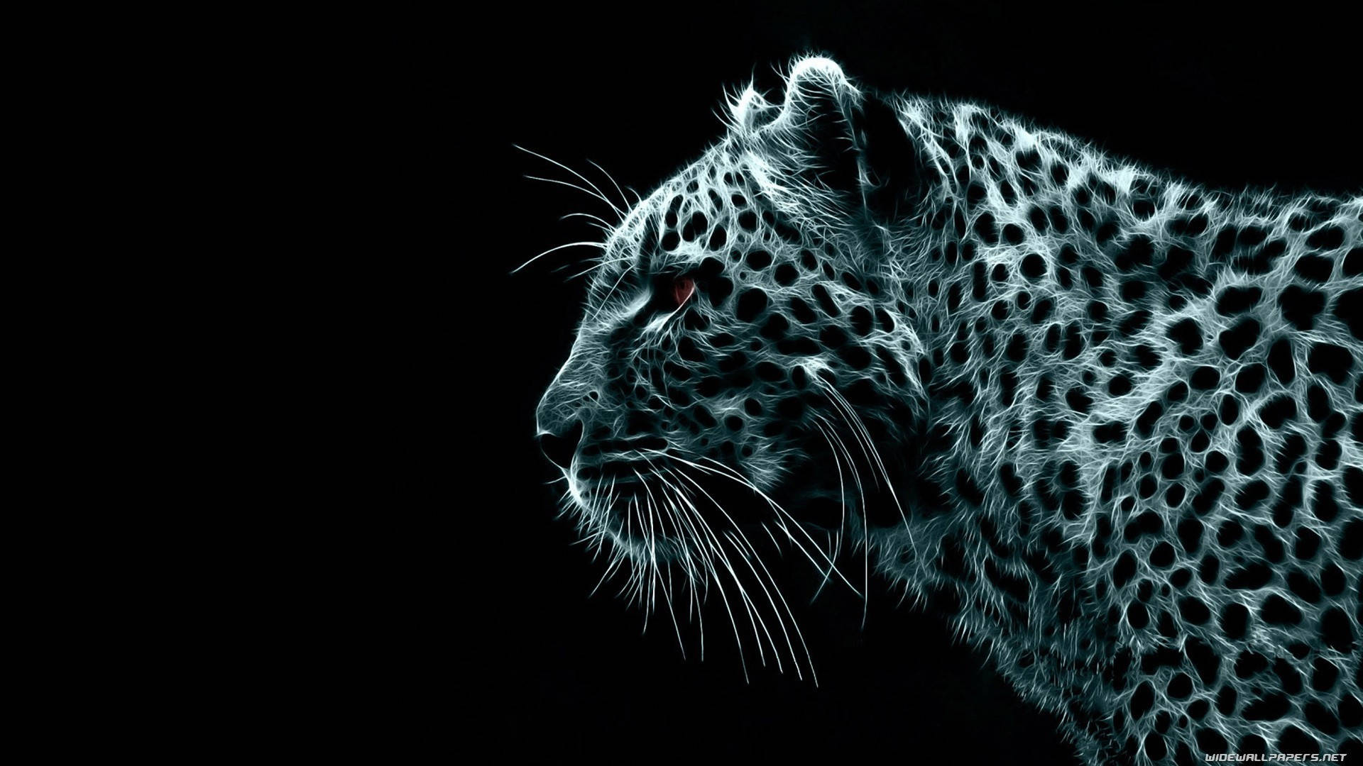 Leopard 桌布 壁紙 — 一頭發光的白色豹子，紅色的眼睛向左凝視，背景純黑，其皮毛圖案以高對比度照亮。
