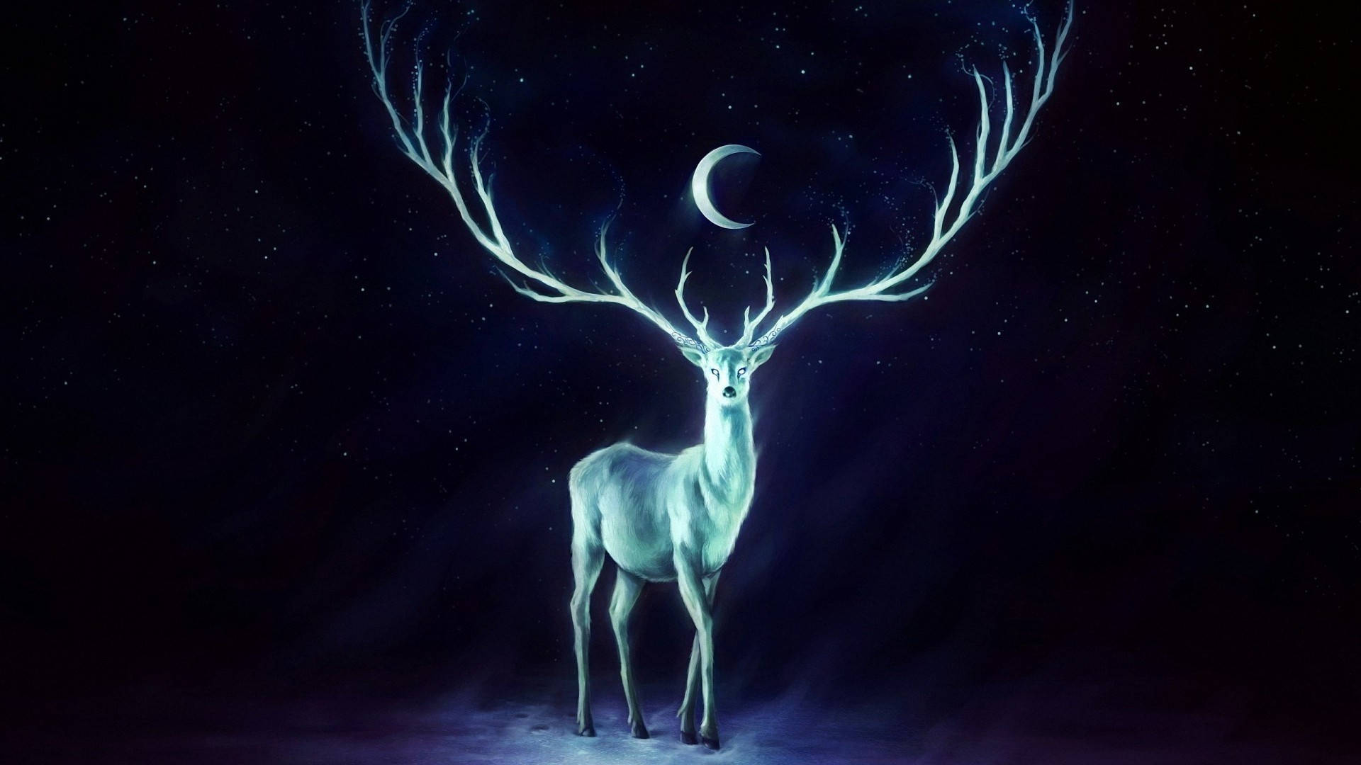 Reindeer 桌布 壁紙 — 一頭發光的白色雄鹿，鹿角發光，站在繁星點點的夜空下，鹿角之間鑲嵌著一彎新月。