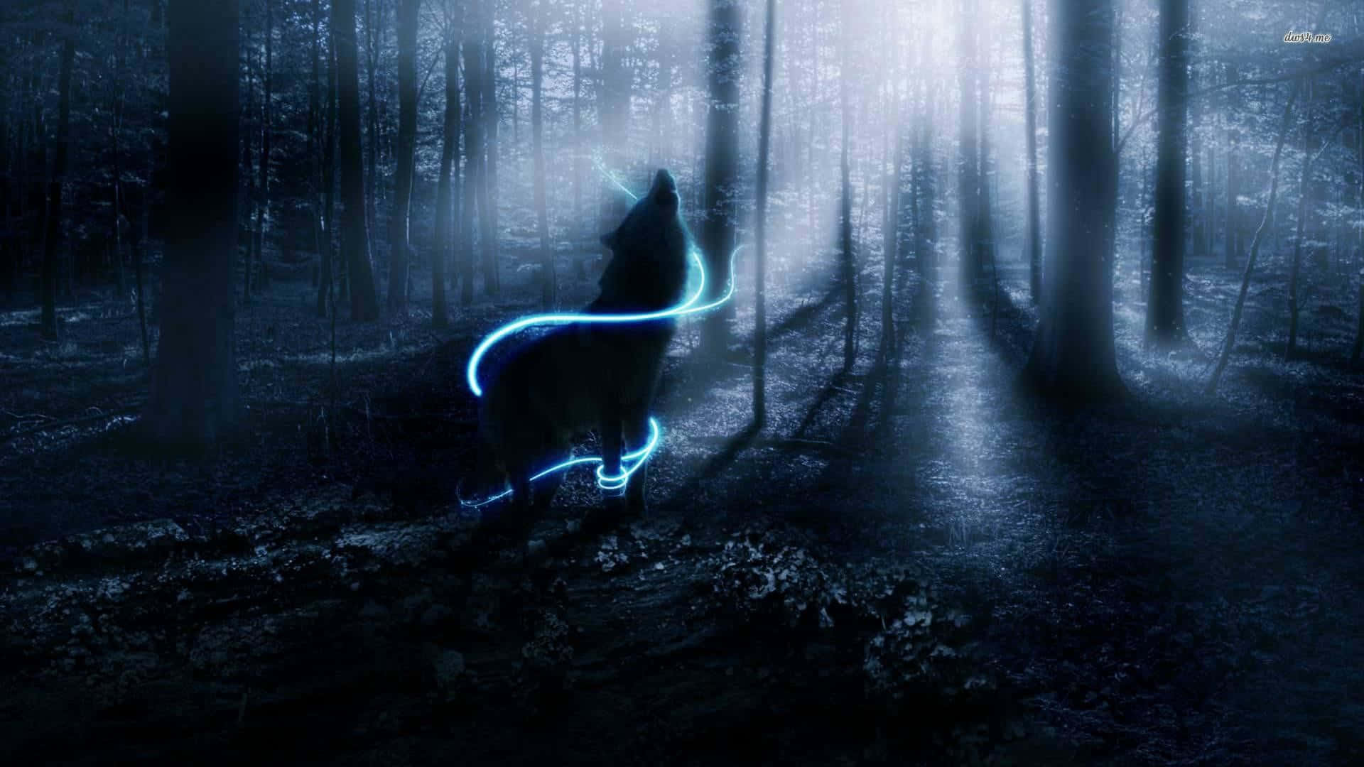 Lone Wolf 桌布 壁紙 — 一頭發光的藍色狼在迷霧籠罩的黑暗森林中嚎叫，空靈的光束穿過高聳的樹木。