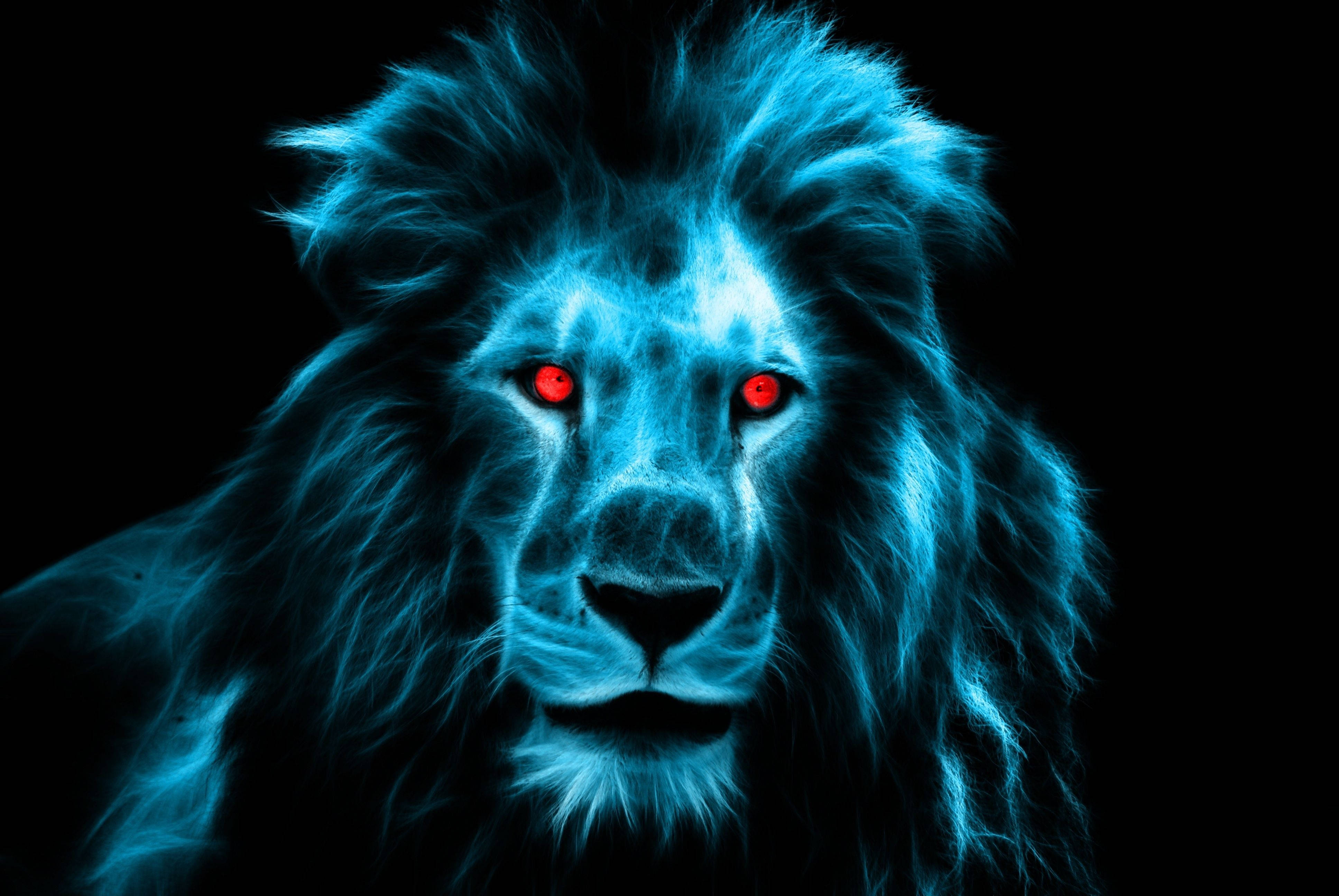 Lion Head 桌布 壁紙 — 一頭發光的藍色獅子，帶有強烈的紅色眼睛，在黑色背景前直視前方。