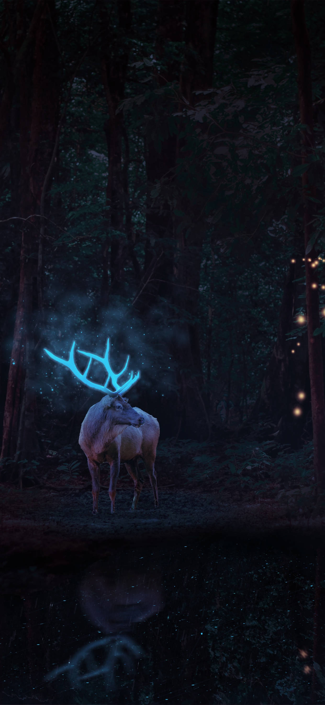 Deer iPhone 桌布 壁紙 — 一頭神秘的鹿，長著發光的藍色鹿角，站在黑暗的森林中，它的倒影在下方平靜的水池中閃爍。