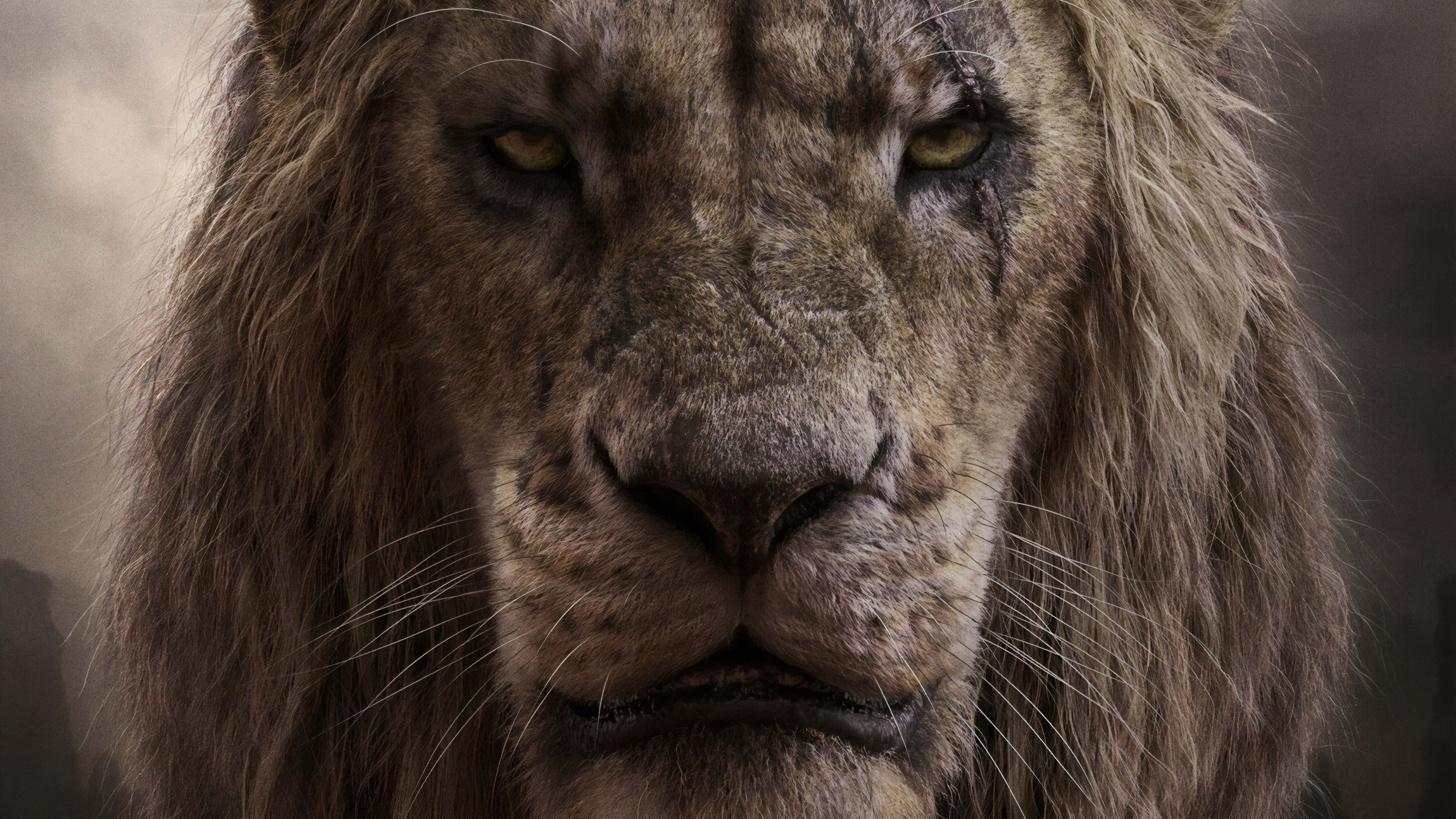 Lion King Scar 桌布 壁紙 — 一頭雄偉獅子的特寫，牠有著風化的鬃毛和強烈的金色眼睛，直視前方。