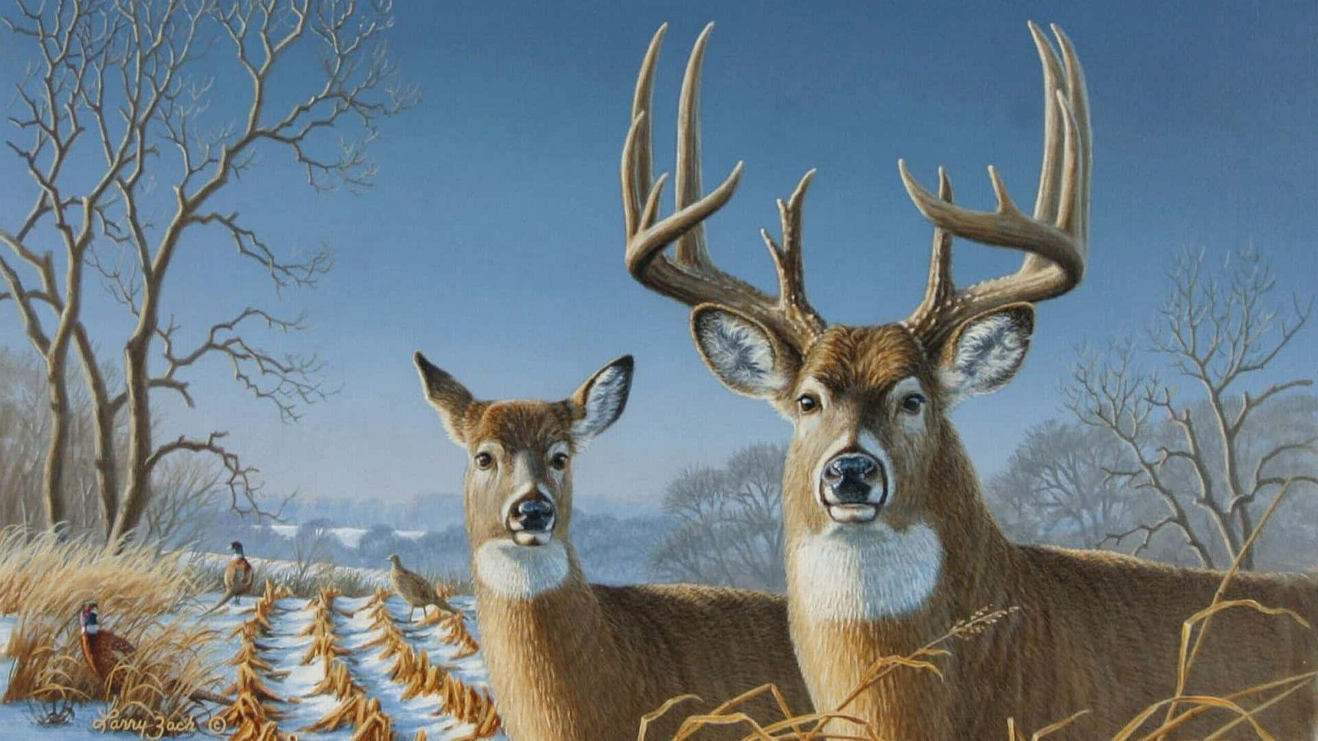 Deer Desktop 桌布 壁紙 — 一頭雄偉的公鹿和母鹿站在雪地上，周圍是光禿禿的樹木，天空清澈湛藍。