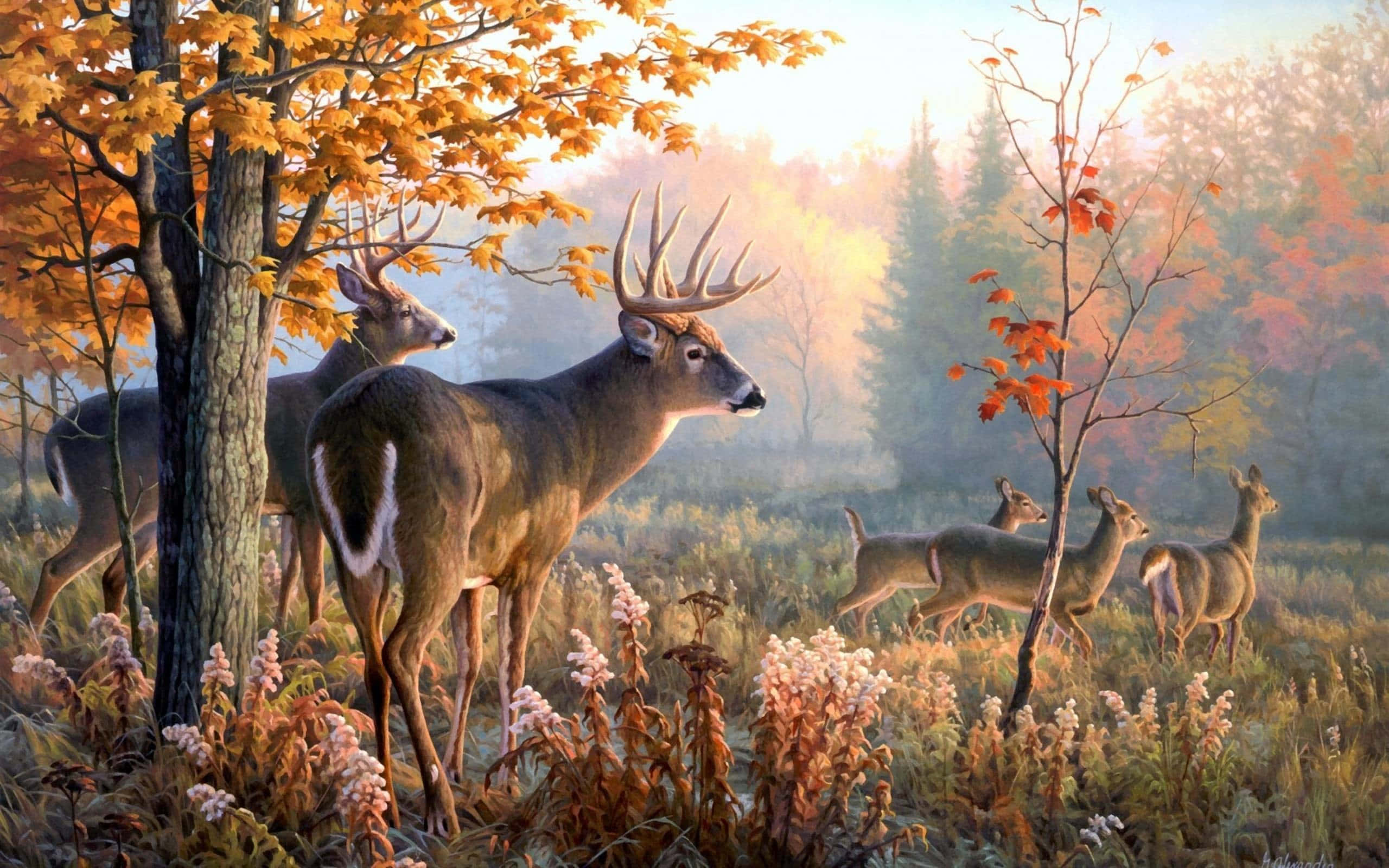 Deer Desktop 桌布 壁紙 — 一頭雄偉的公鹿在陽光明媚的秋日森林中警覺地站立，鹿群在金色的樹葉和霧氣繚繞的樹木間平靜地吃草。