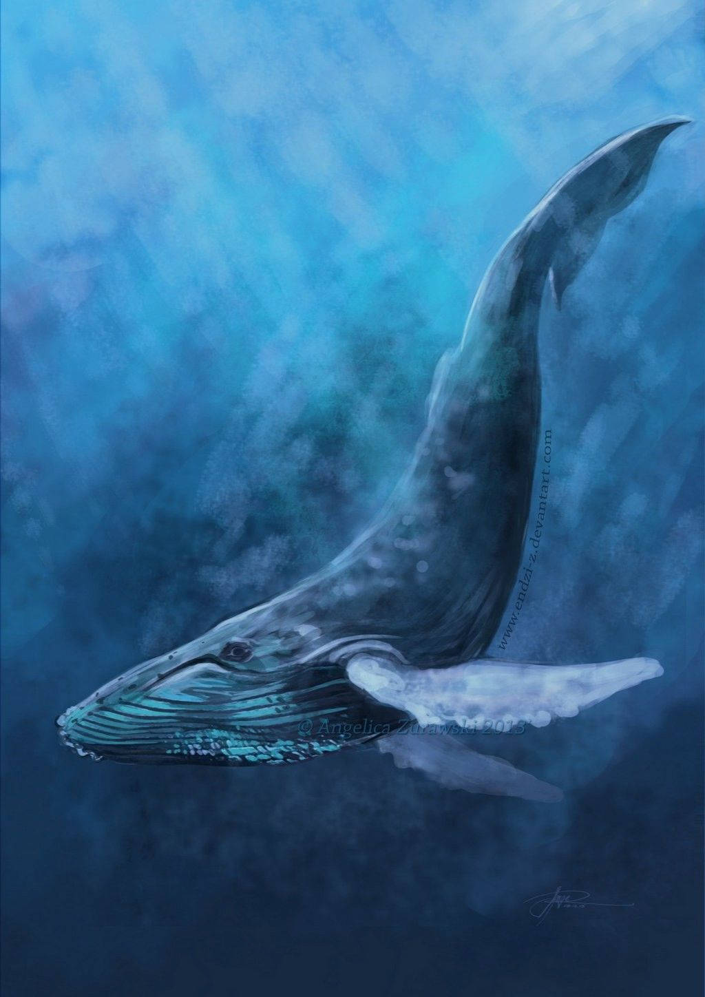 鯨魚 桌布 壁紙 — 一頭雄偉的座頭鯨在深藍色的海洋中滑行，陽光從上方穿透而下。