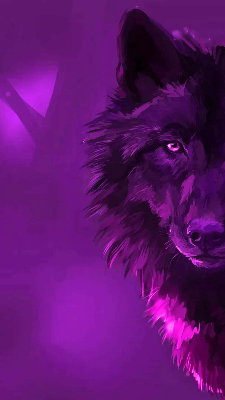 Pink Wolf 桌布 壁紙 — 一頭雄偉的狼，眼睛發光，在帶有柔和光線的鮮豔紫色背景下凝視著。