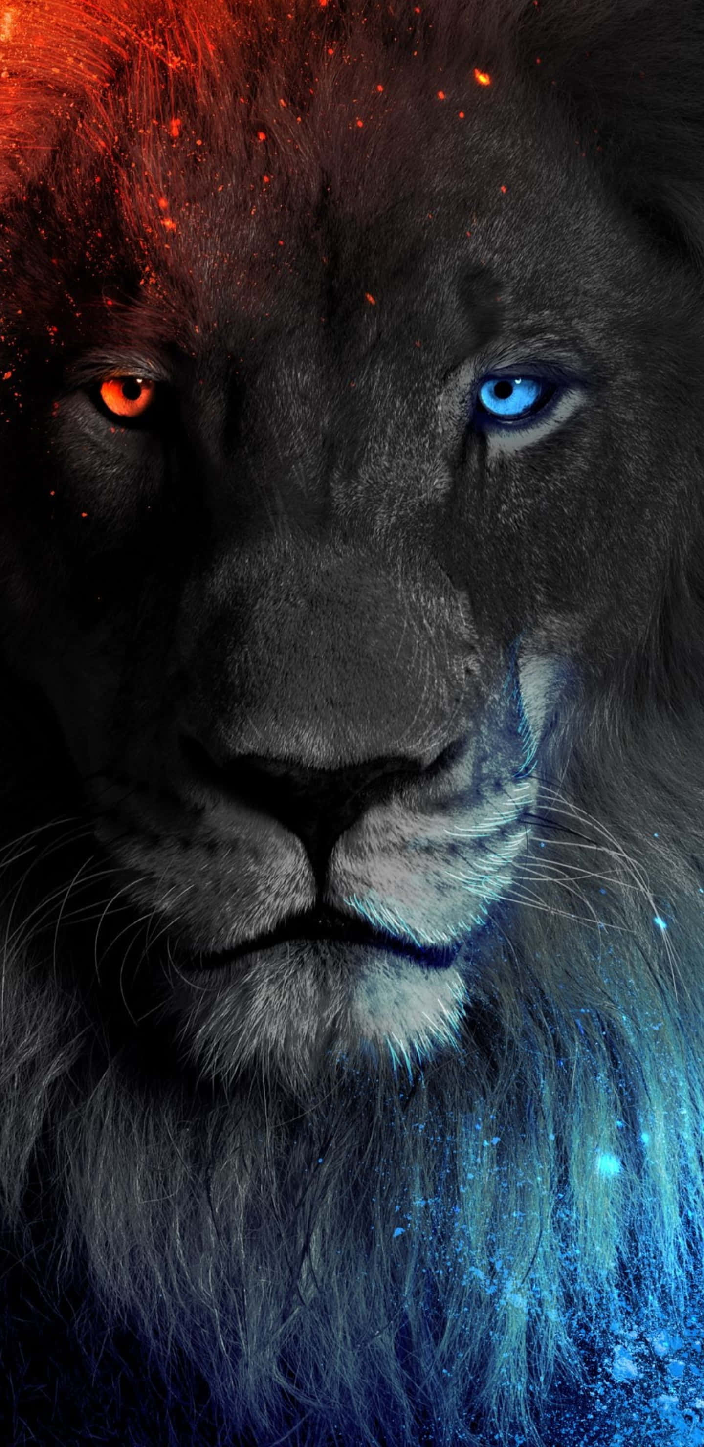 Black Lion 桌布 壁紙 — 一頭雄偉的獅子，一隻火橙色眼睛和一隻冰藍色眼睛，被宇宙粒子環繞。
