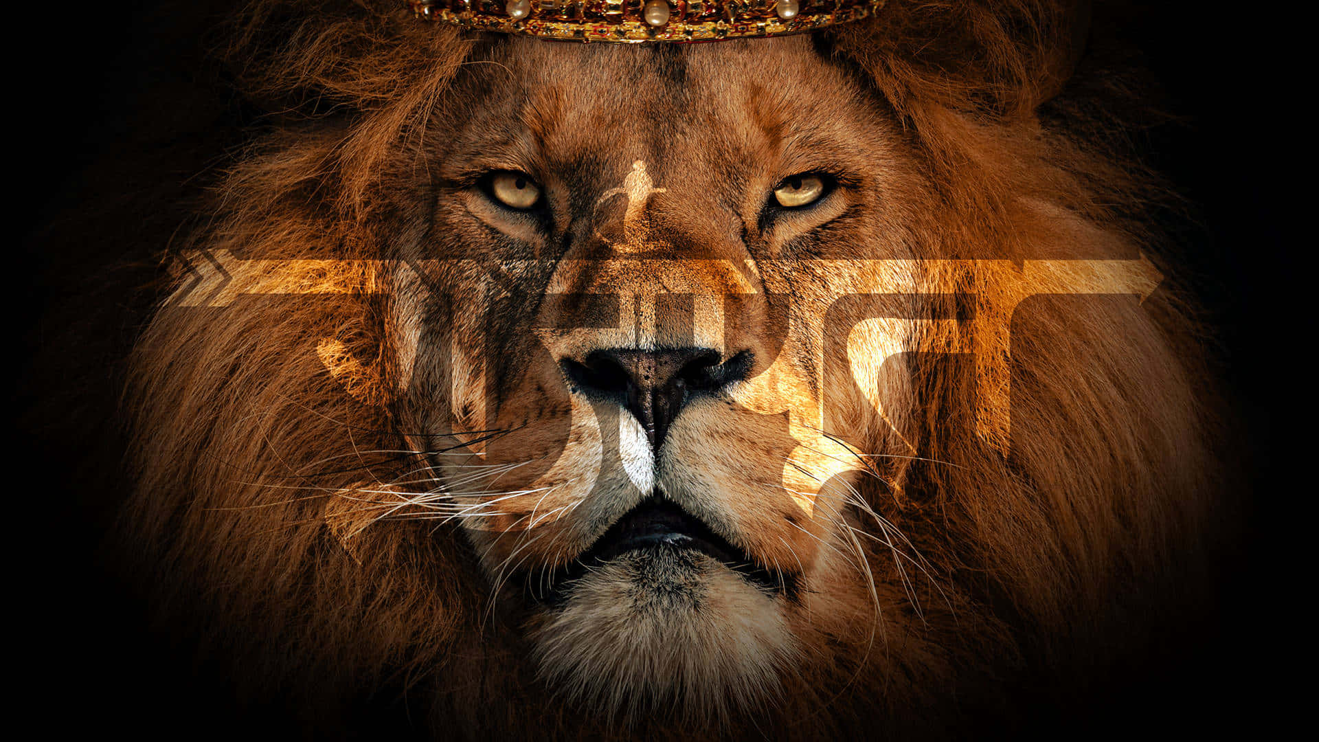 Lion Of Judah 桌布 壁紙 — 一頭雄偉的獅子，戴著金色皇冠，眼睛發光，在黑暗背景下強烈凝視。