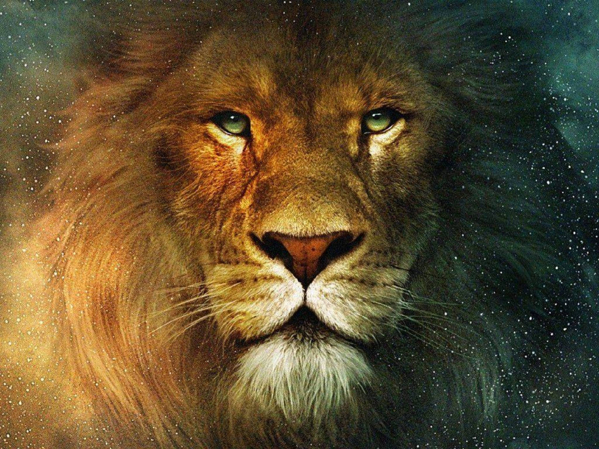 Lion Head 桌布 壁紙 — 一頭雄偉的獅子，擁有發光的綠色眼睛，在繁星點點的宇宙背景下強烈凝視。