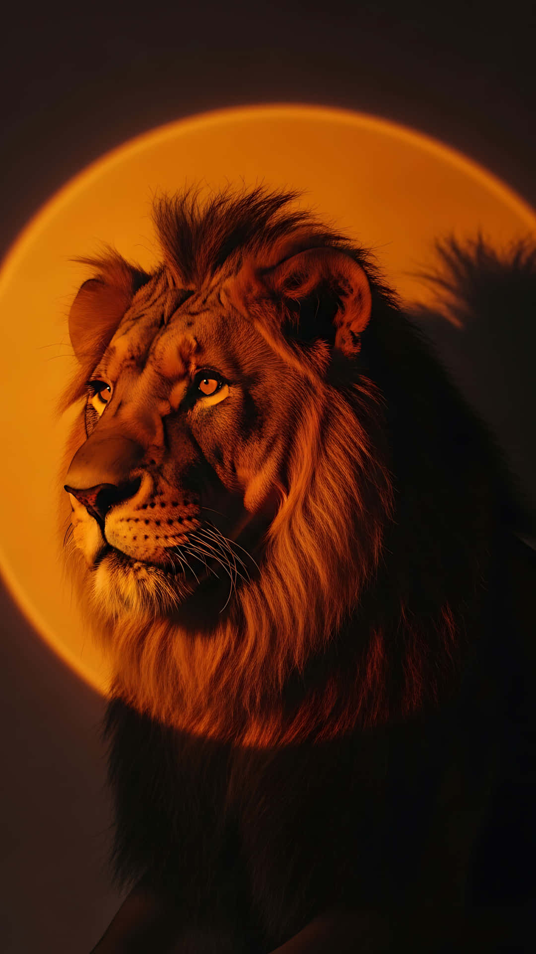 Lion Sun Portrait 壁紙 — 一頭雄偉的獅子，金色眼睛，凝視前方，背景是發光的橙色圓形。