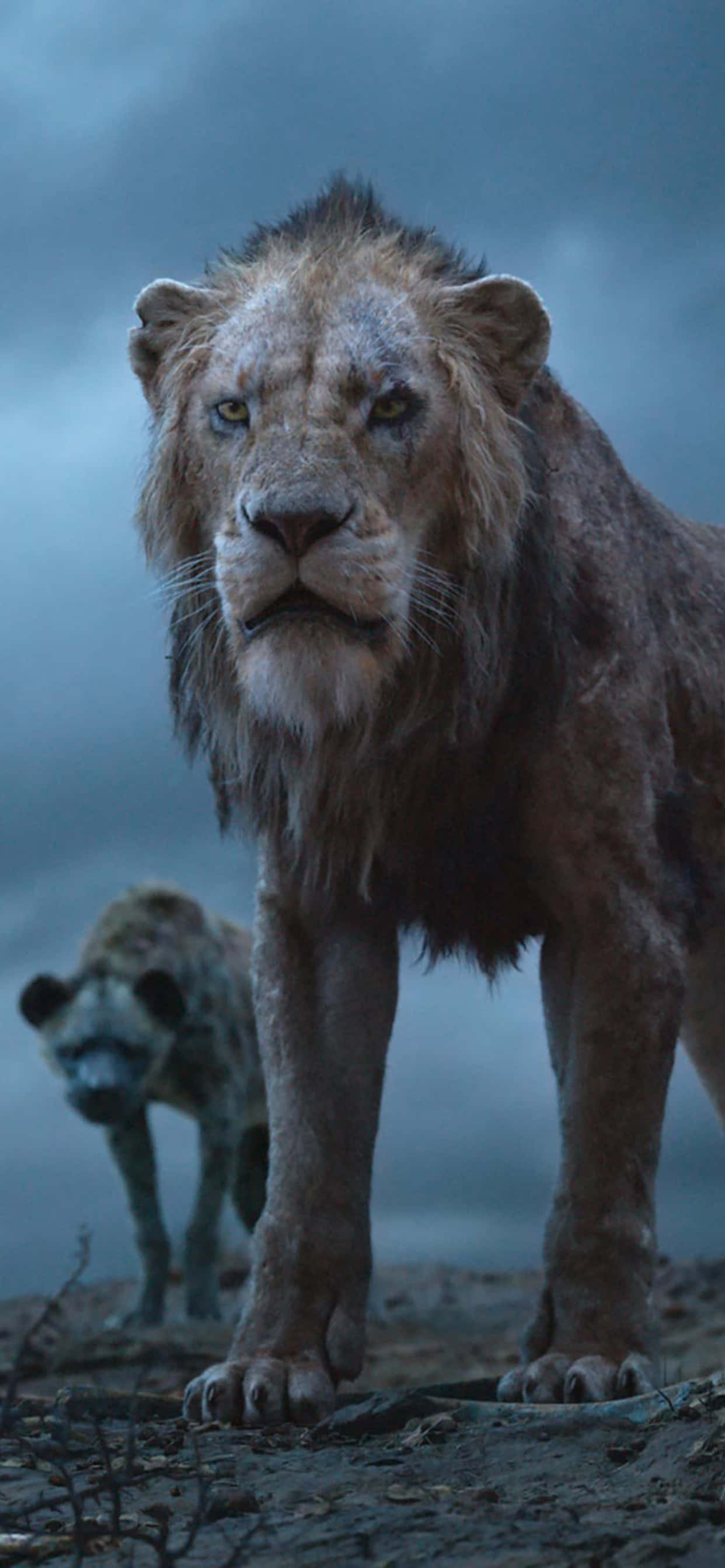 Lion King Scar 桌布 壁紙 — 一頭雄偉的獅子，鬃毛歷經風霜，在霧氣瀰漫的稀樹草原上佔據主導地位，身後有一隻鬣狗潛伏著。