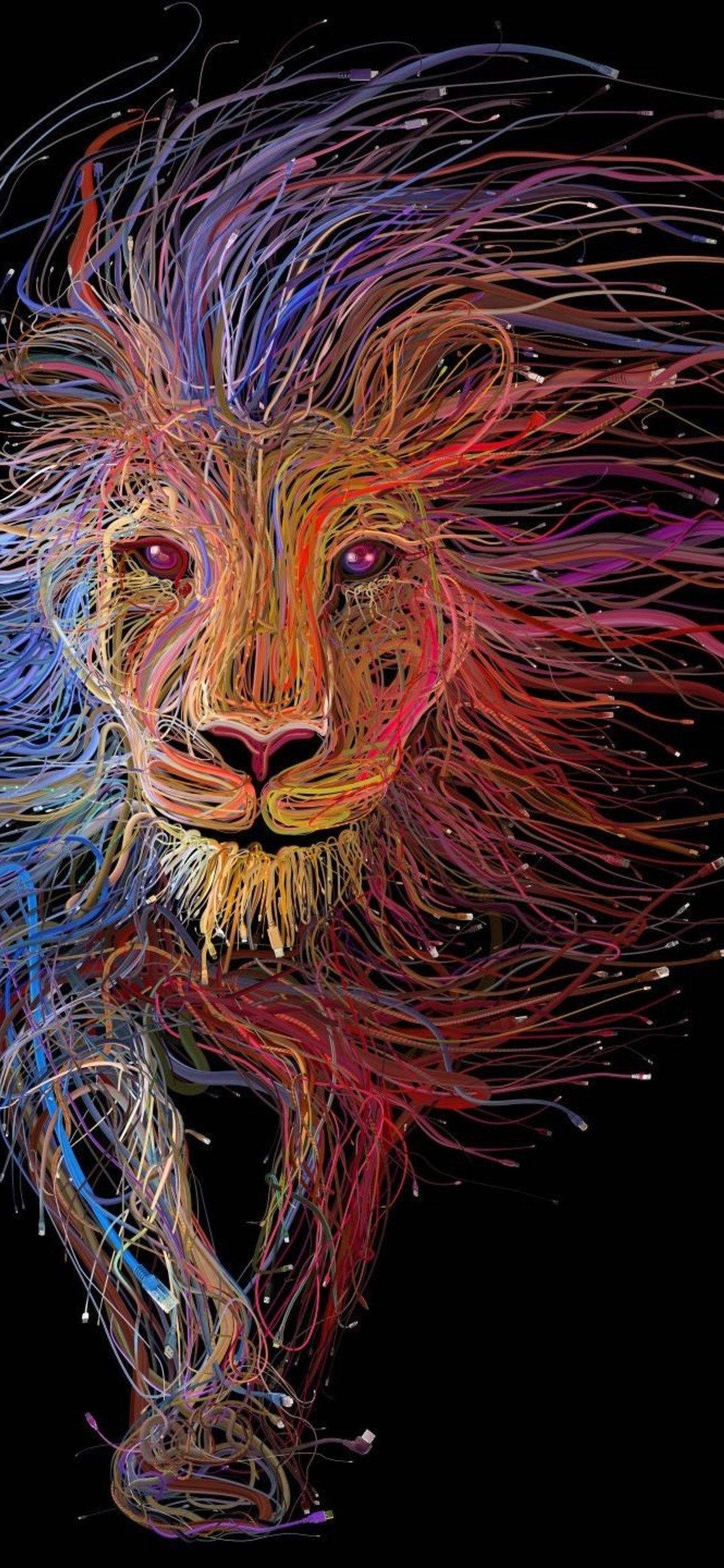 獅子 桌布 壁紙 — 一頭雄偉的獅子以鮮豔的色彩條紋呈現在黑色背景上，其鬃毛如電線般流動。