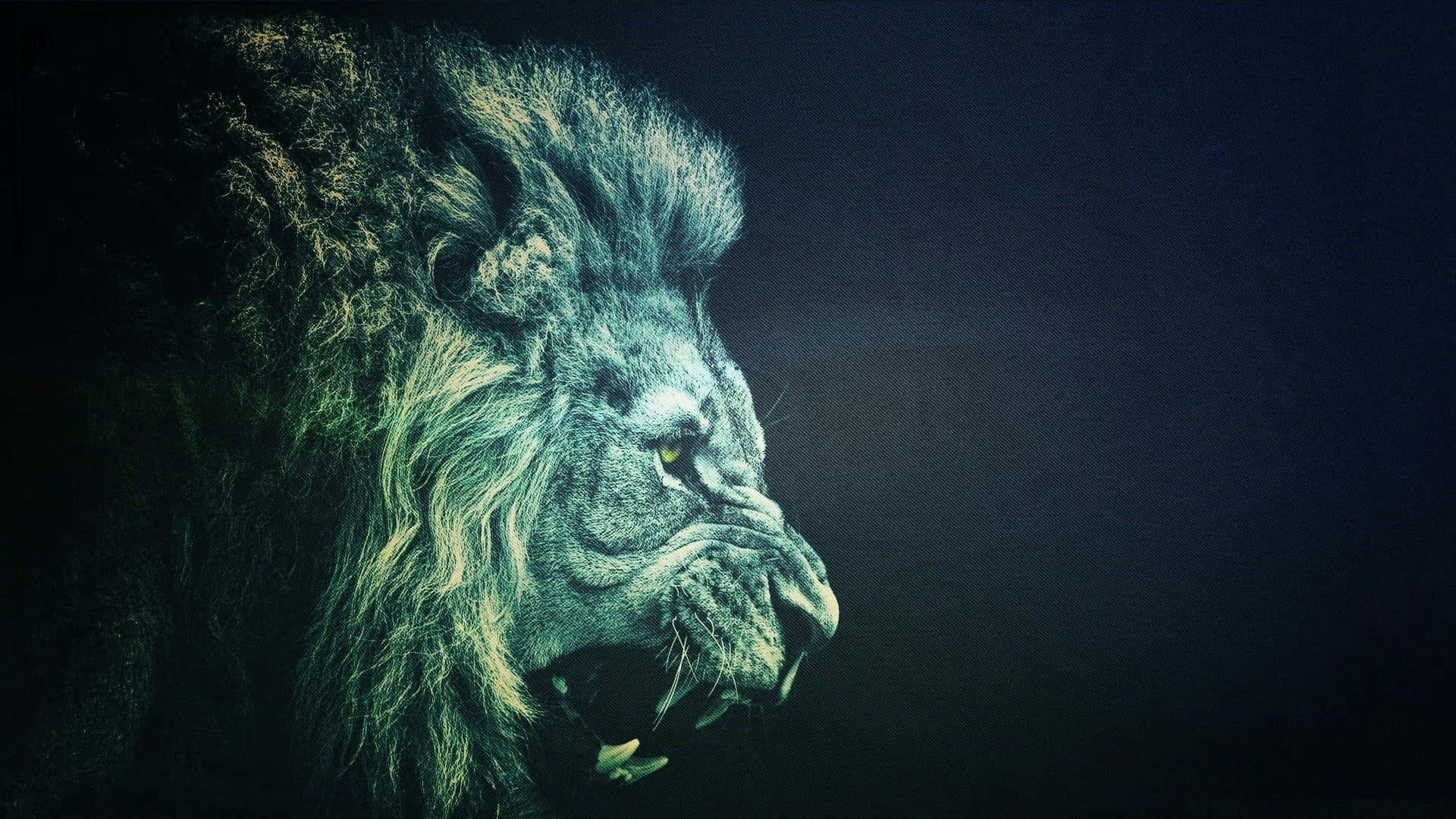 動物 桌布 壁紙 — 一頭雄偉的獅子側面頭像在黑暗背景下咆哮，戲劇性的燈光凸顯其紋理分明的鬃毛和兇猛的表情。