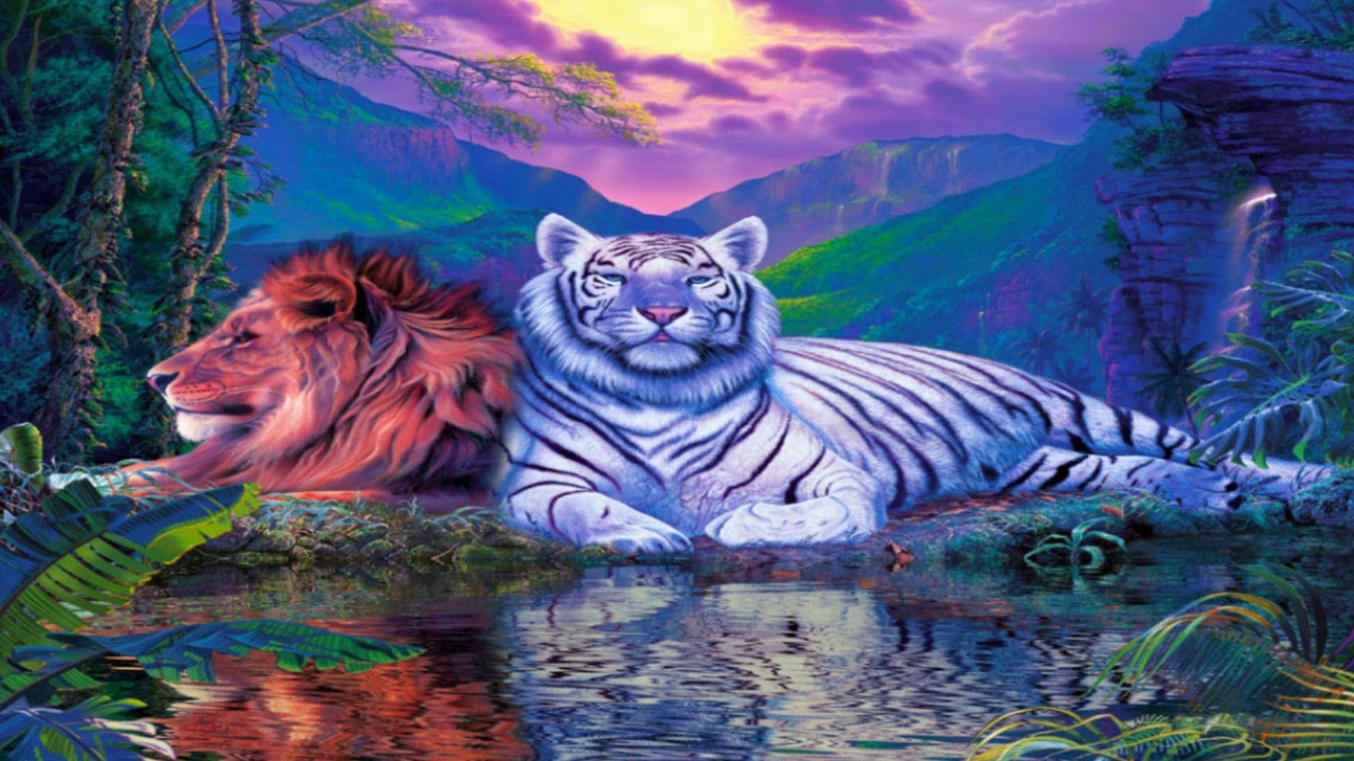 獅子 桌布 壁紙 — 一頭雄偉的獅子和一隻白虎在充滿活力的紫色日落下的叢林溪流旁平靜地休息。