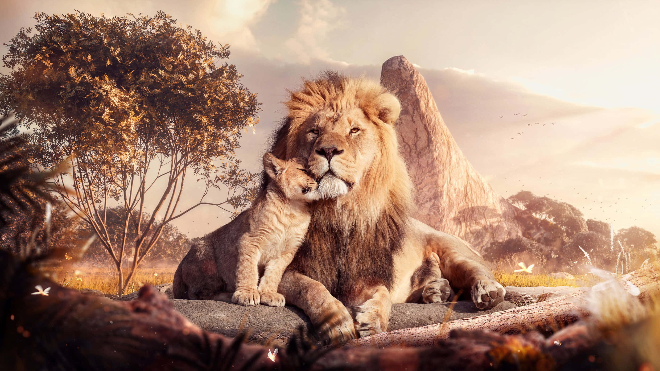 獅子王 桌布 壁紙 — 一頭雄偉的獅子和幼獅在金色夕陽下一起在岩石上休息，背景有山脈和樹木。