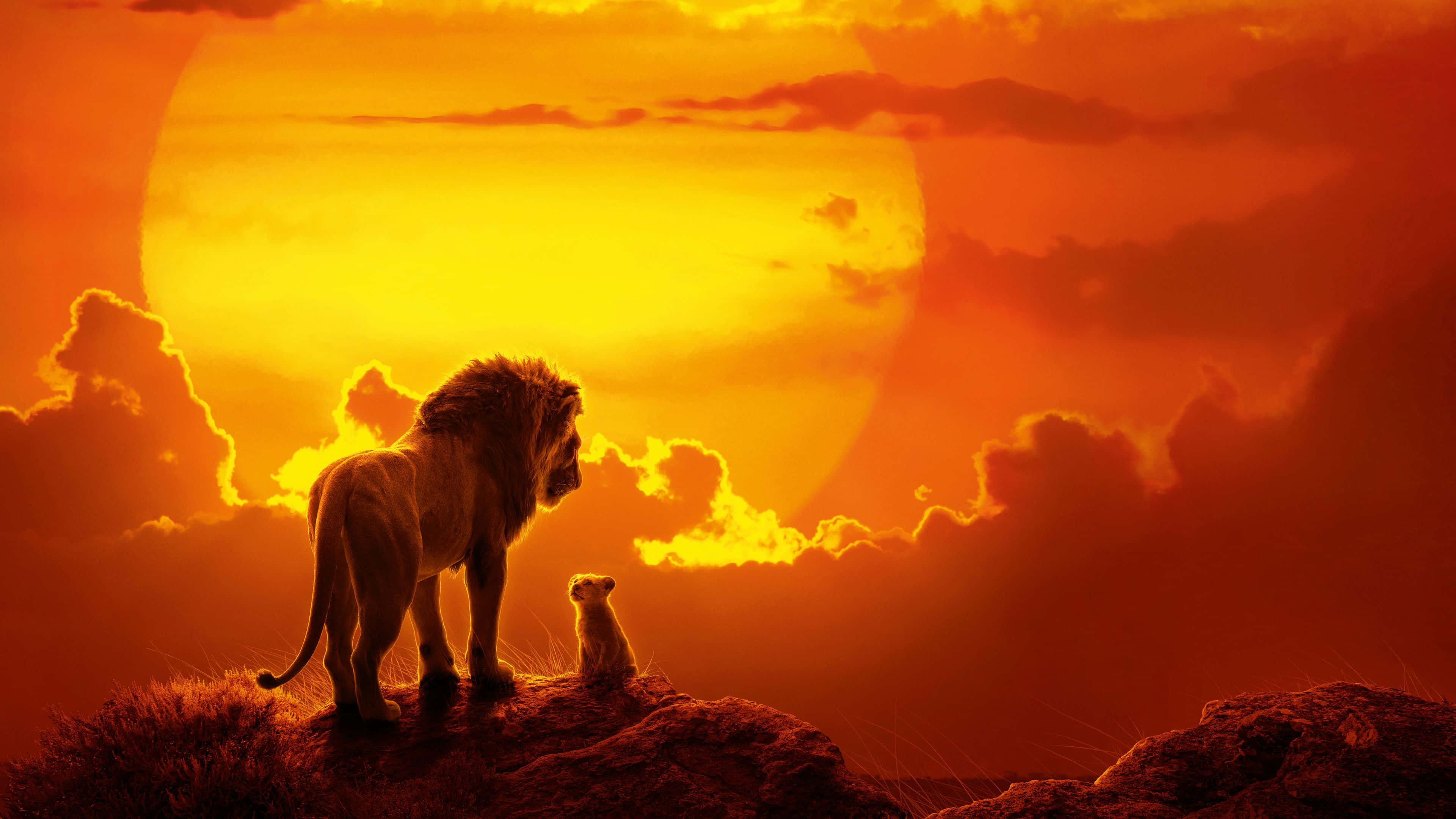 Disney 4K 桌布 壁紙 — 一頭雄偉的獅子和幼獅站在岩石山脊上形成剪影，一輪巨大的太陽在火紅的橙色和紅色雲層中落下。
