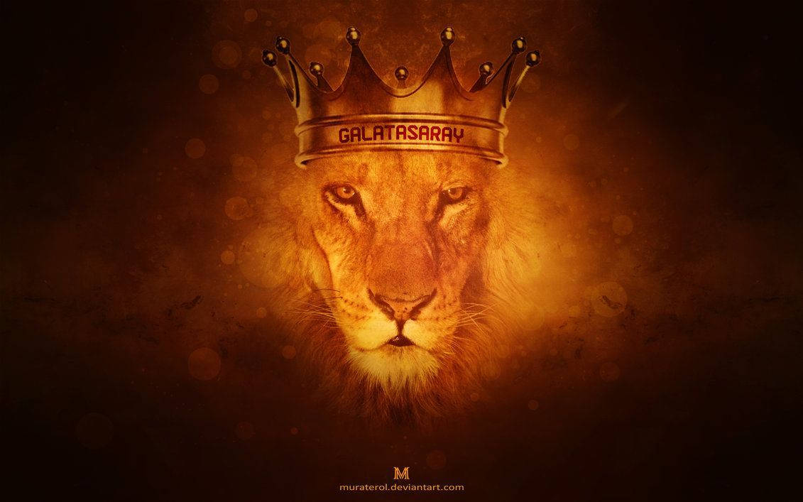 獅子 桌布 壁紙 — 一頭雄偉的獅子戴著刻有「GALATASARAY」的金色皇冠，在黑暗的散景背景下溫暖地發光。