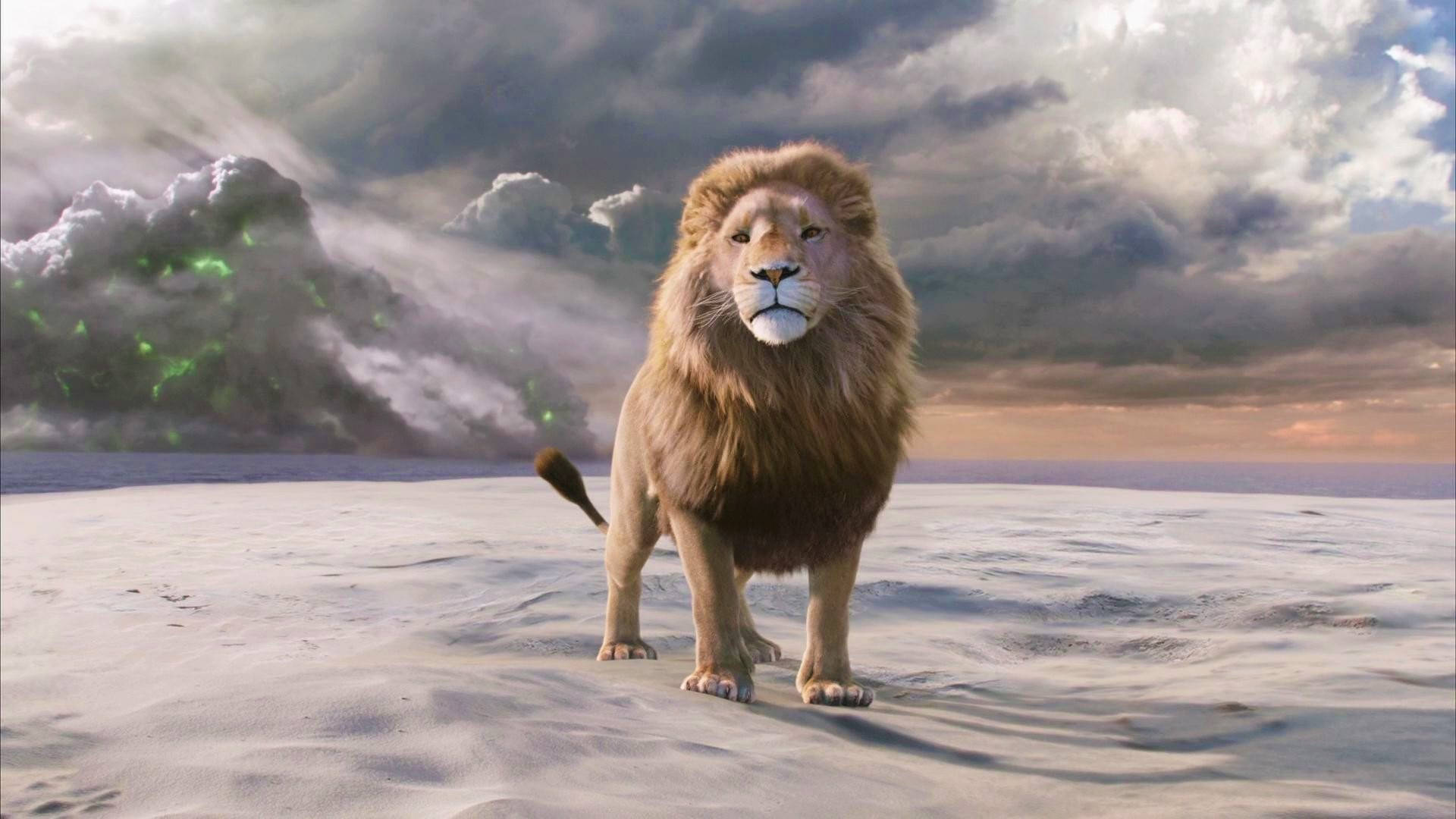 Narnia 桌布 壁紙 — 一頭雄偉的獅子獨自站在廣闊的雪原上，天空佈滿戲劇性的雲層，並散發著發光的綠色薄霧。
