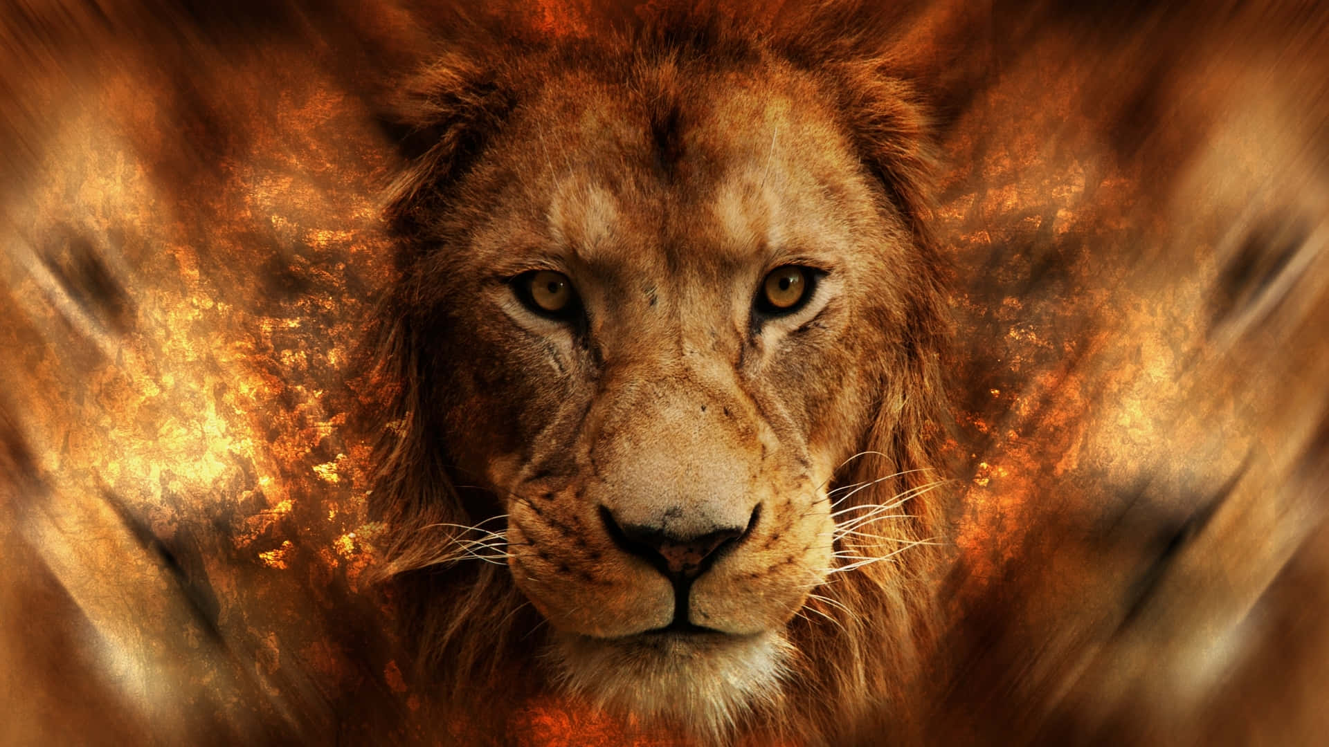 Lion Head 桌布 壁紙 — 一頭雄偉的獅子用金色的眼睛強烈地凝視著火橙色和棕色的模糊背景。