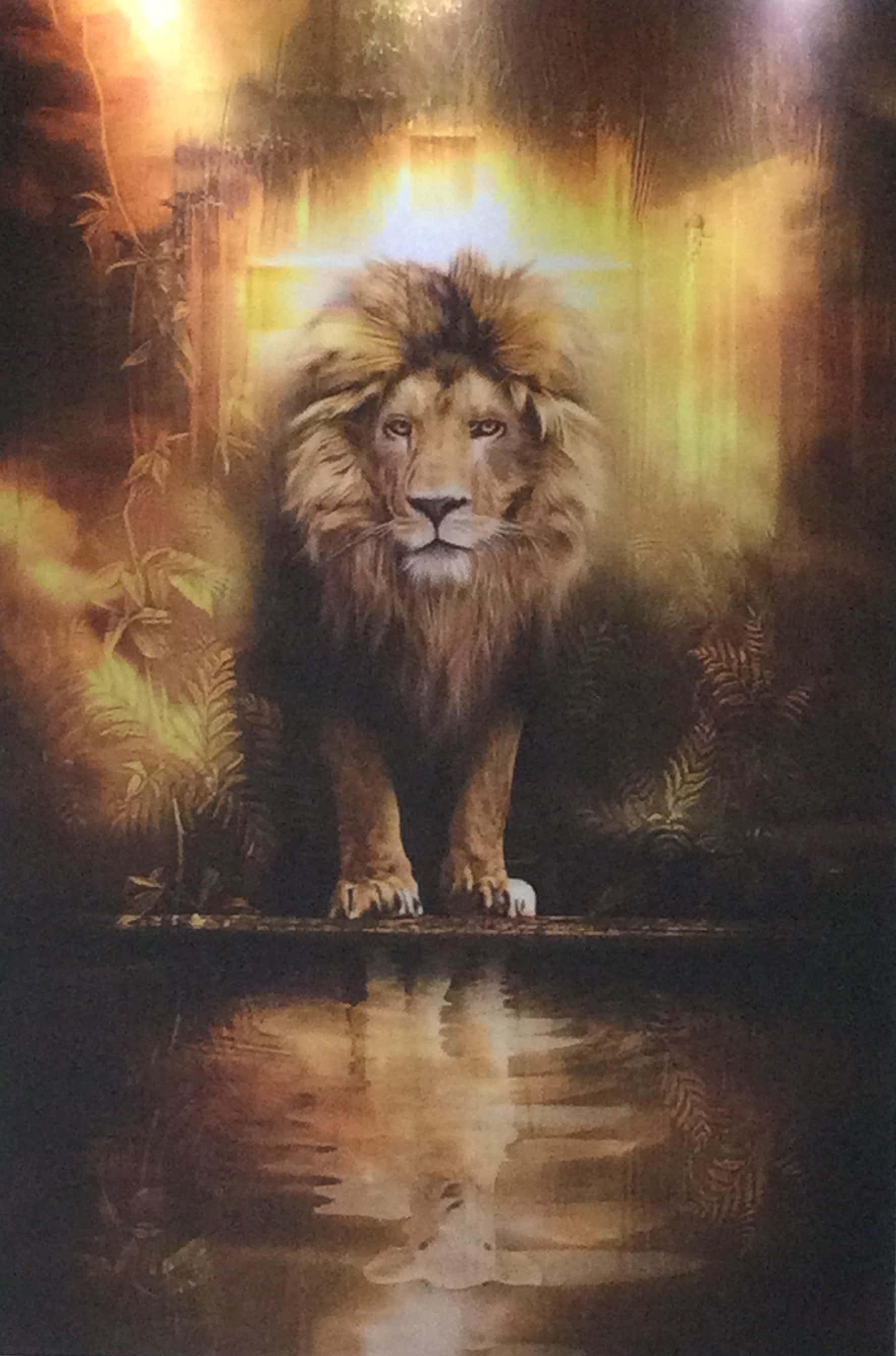 Lion Of Judah 桌布 壁紙 — 一頭雄偉的獅子站在叢林空地上，金色的光線照亮了牠的鬃毛，並在水面上投射出反射的光芒。