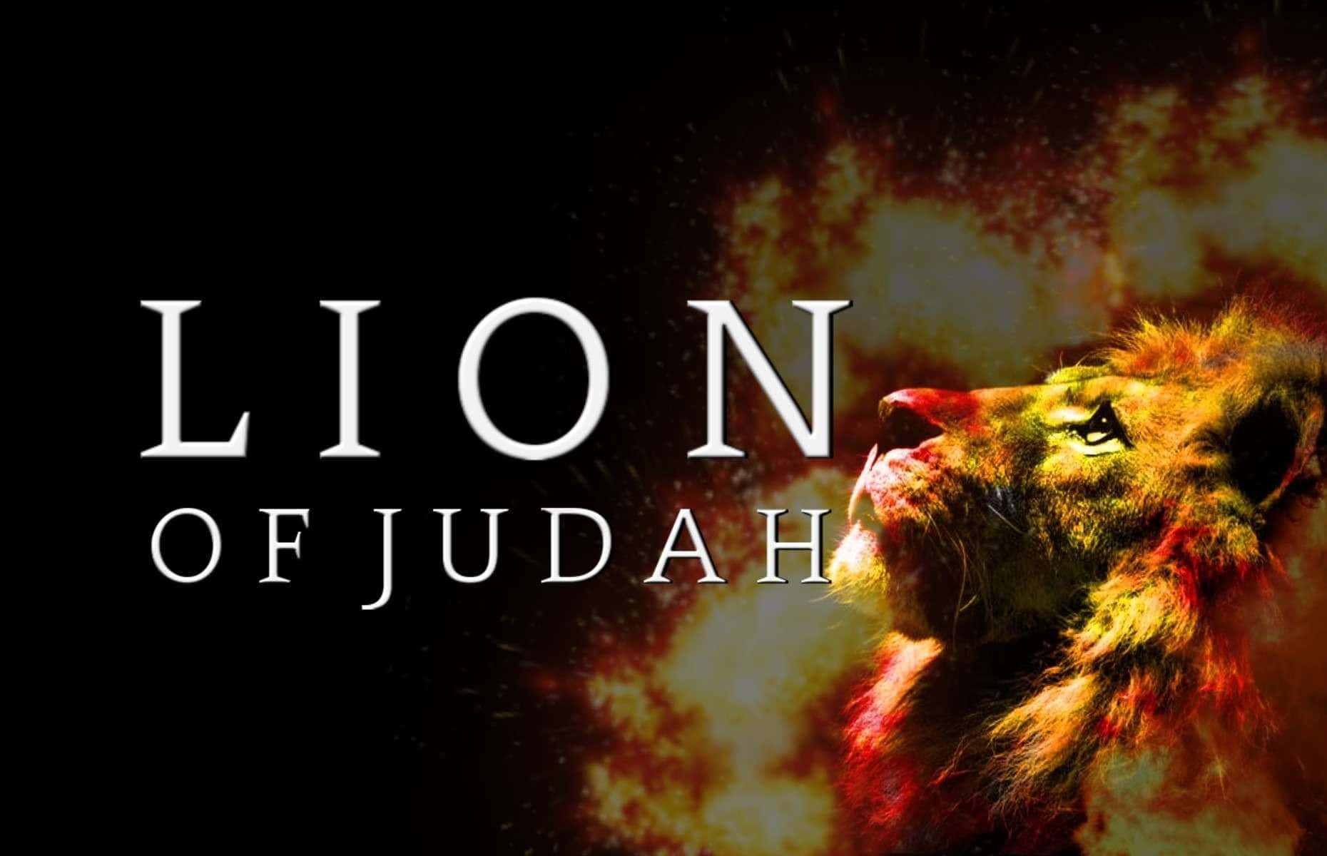 Lion Of Judah 桌布 壁紙 — 一頭雄偉的獅子頭從火焰煙霧中浮現，背景為深色，並帶有粗體白色文字「LION OF JUDAH」。
