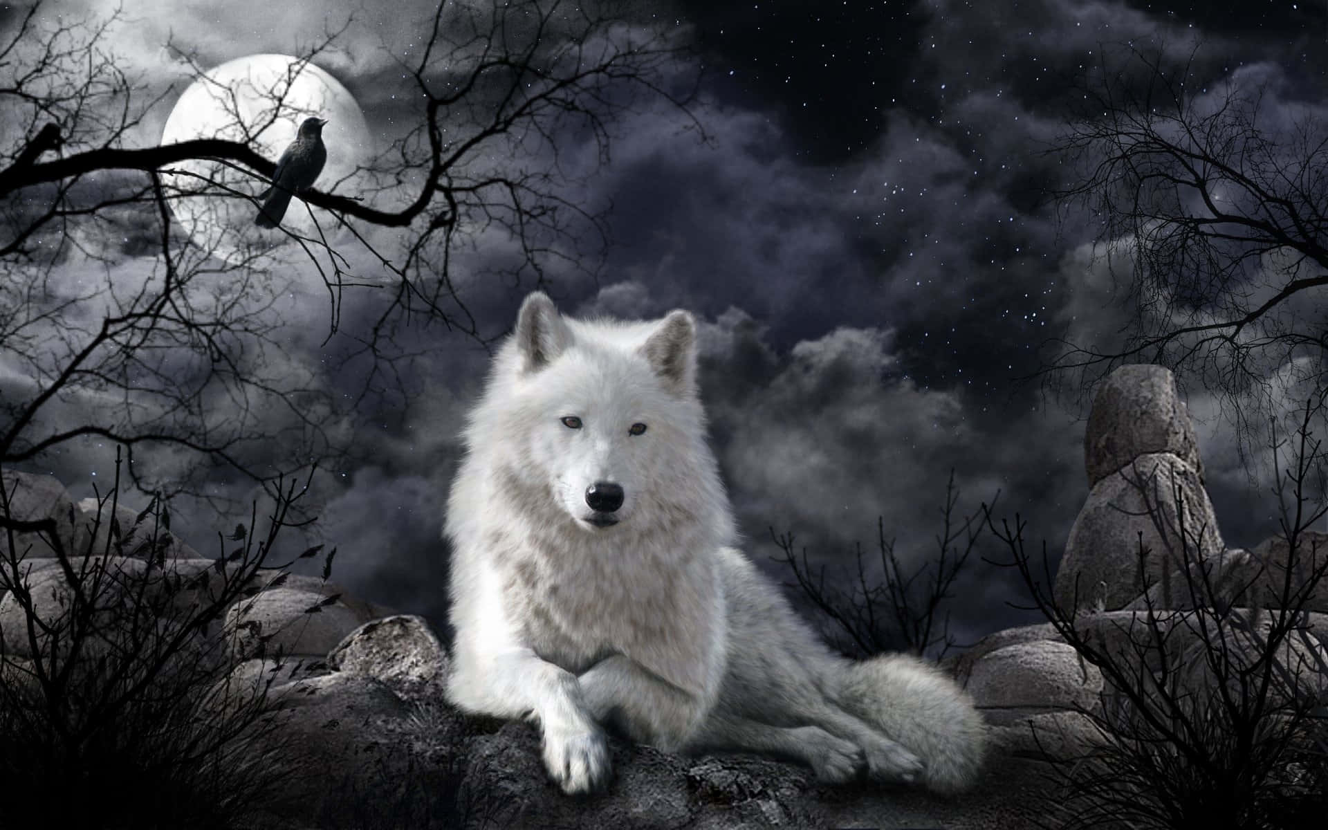 Wolf Free 桌布 壁紙 — 一頭雄偉的白狼在滿月下的岩石地形上休息，上方光禿的樹枝上棲息著一隻烏鴉。