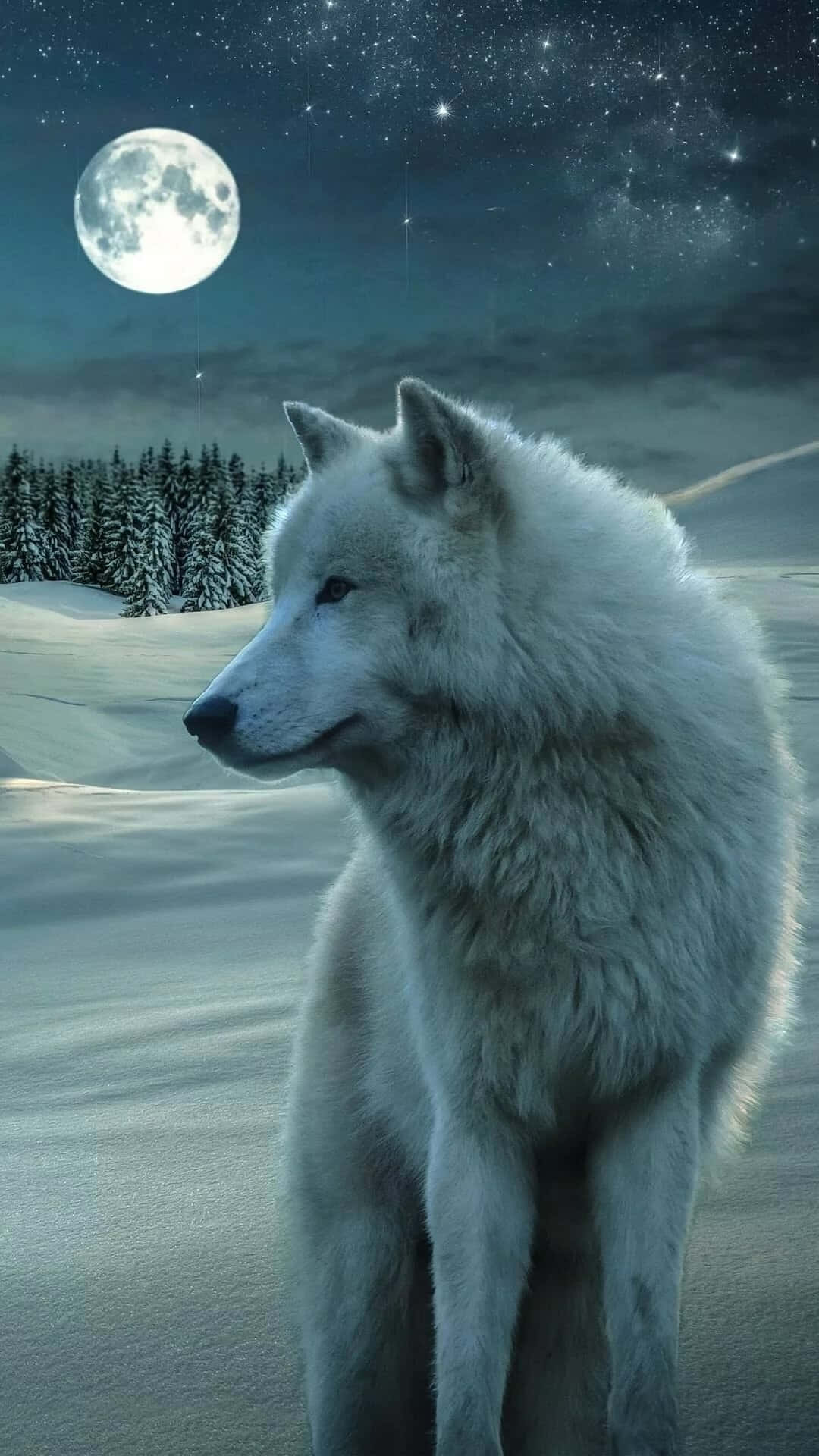 Arctic Wolf 桌布 壁紙 — 一頭雄偉的白狼站在白雪皚皚的冬季風景中，明亮的滿月和繁星點點的夜空下。