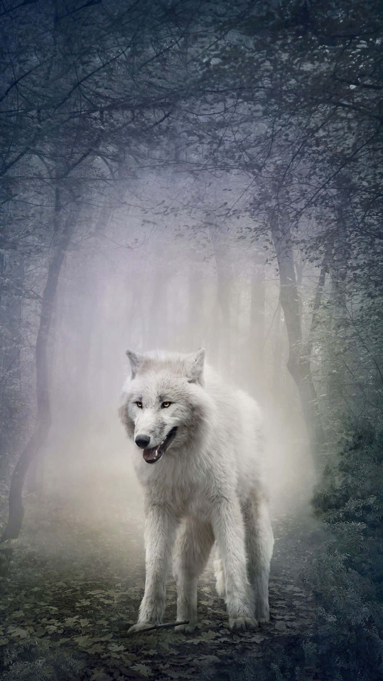Arctic Wolf 桌布 壁紙 — 一頭雄偉的白狼警覺地站在霧氣瀰漫的森林小徑上，周圍是高聳的樹木和柔和的光芒。