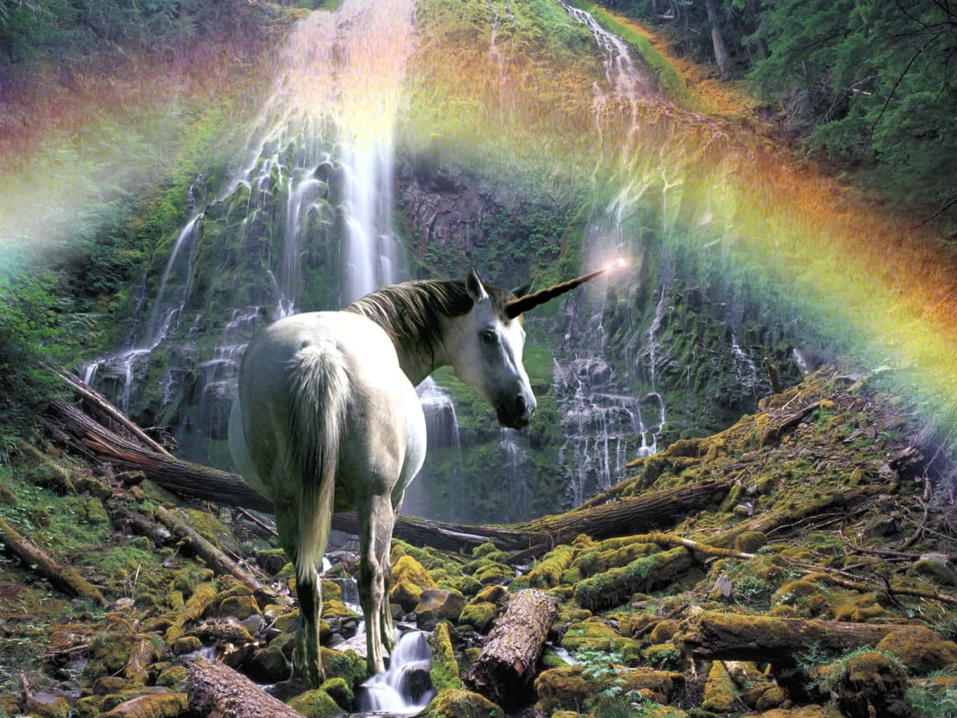 Magical Unicorn 桌布 壁紙 — 一頭雄偉的白色獨角獸站在長滿苔蘚的森林空地中，背後是層疊的瀑布和一道鮮豔的彩虹。