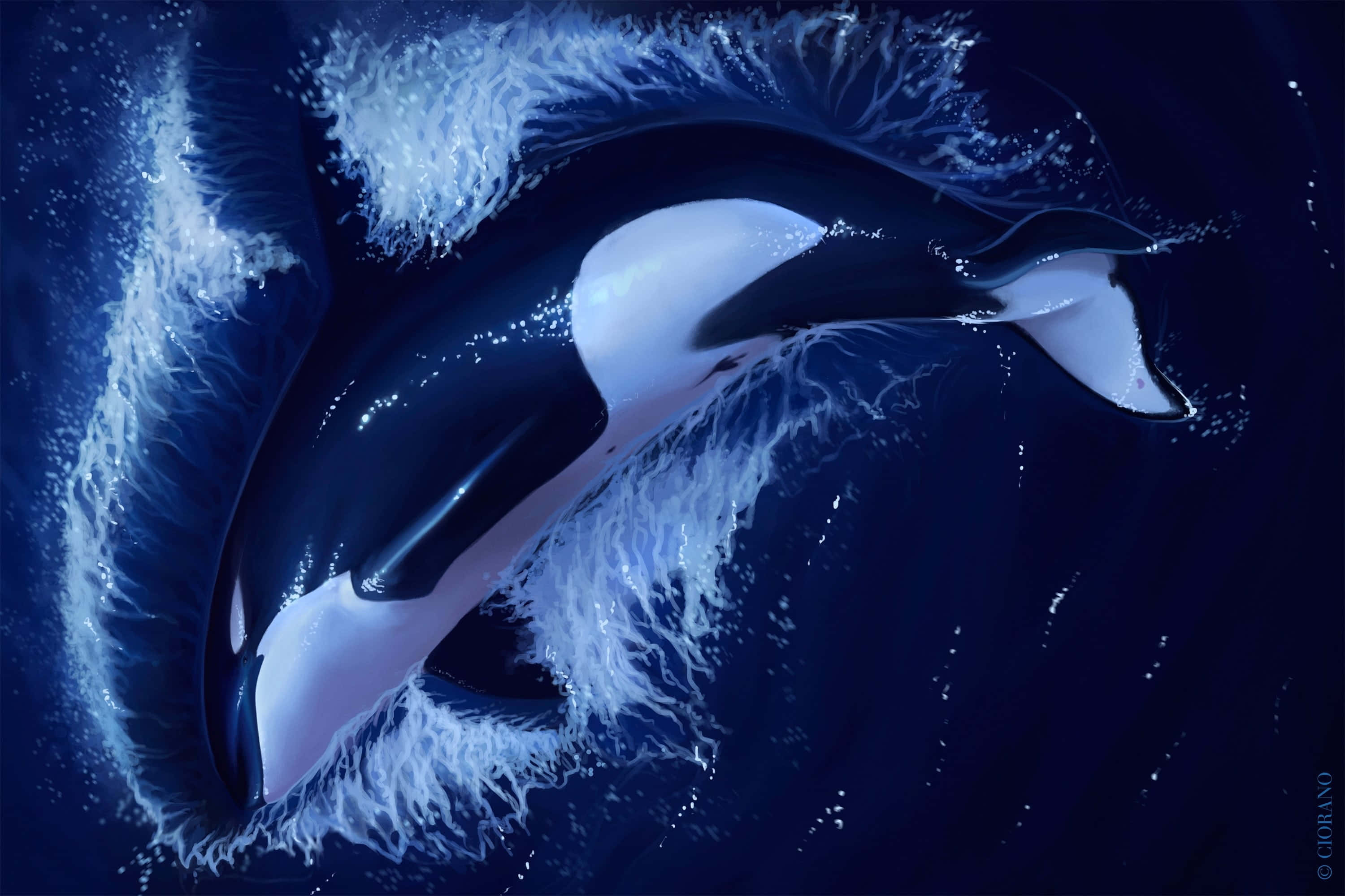 blue whale 桌布 壁紙 — 一頭雄偉的虎鯨衝破深藍色的海水，在其光滑的黑白身體周圍形成戲劇性的白色泡沫飛濺。