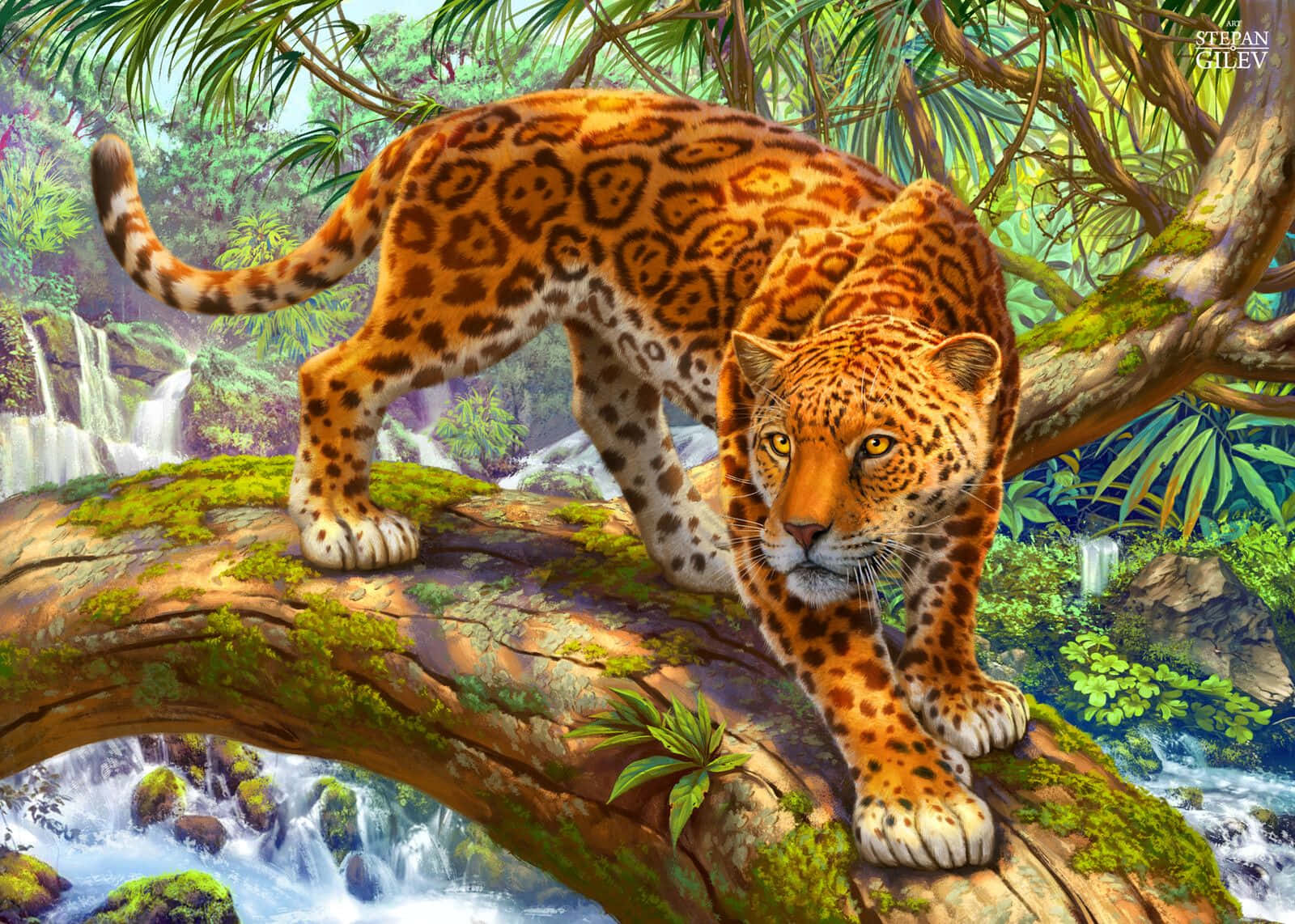 Jaguar 桌布 壁紙 — 一頭雄偉的金色斑點豹在長滿苔蘚的樹枝上徘徊，下方是叢林瀑布。