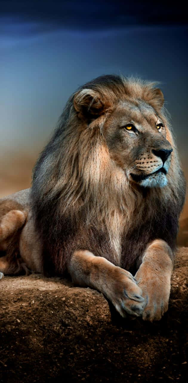 獅子 桌布 壁紙 — 一頭雄偉的雄獅，擁有濃密的鬃毛，在昏暗的天空下威嚴地棲息在岩石露頭上。