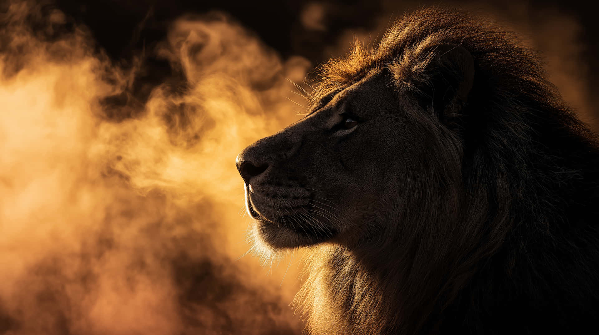 Majestic Lion Profile in Fiery Atmospheric Glow 壁紙 — 一頭雄偉的雄獅側面，沐浴在金色光芒中，頭後有旋轉的煙霧。