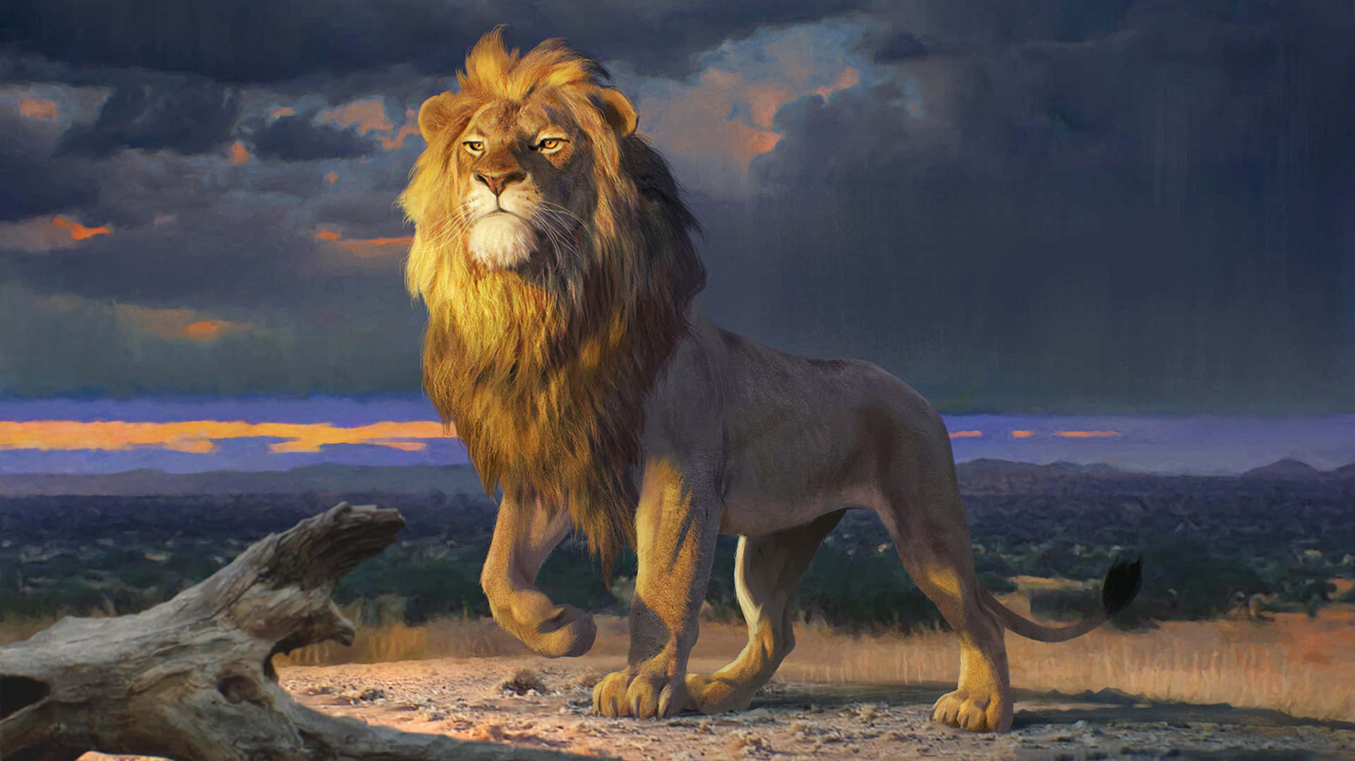 Lion King Scar 桌布 壁紙 — 一頭雄偉的雄獅站在日落時分的岩石露頭上，金色的鬃毛在戲劇性的多雲天空中閃耀。