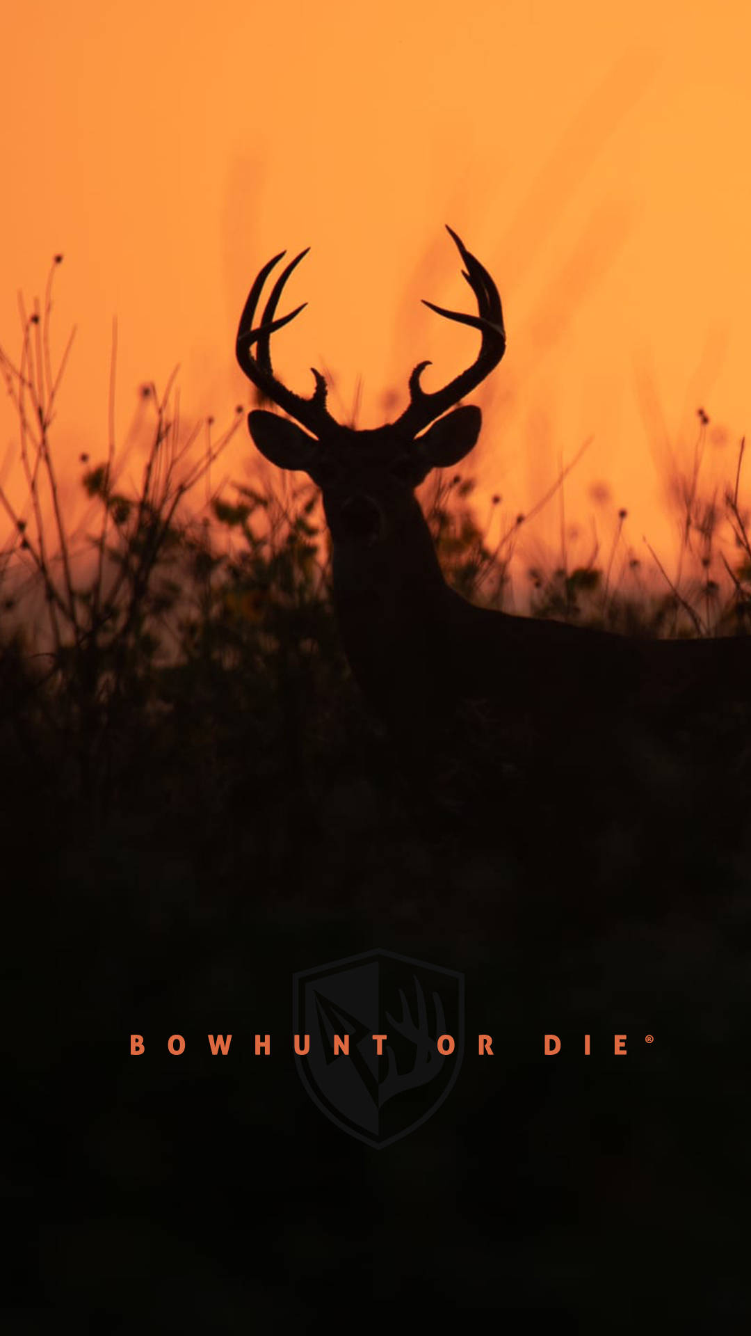 Deer iPhone 桌布 壁紙 — 一頭雄偉的雄鹿剪影，長著巨大的鹿角，高聳在火紅的橙色日落天空前。