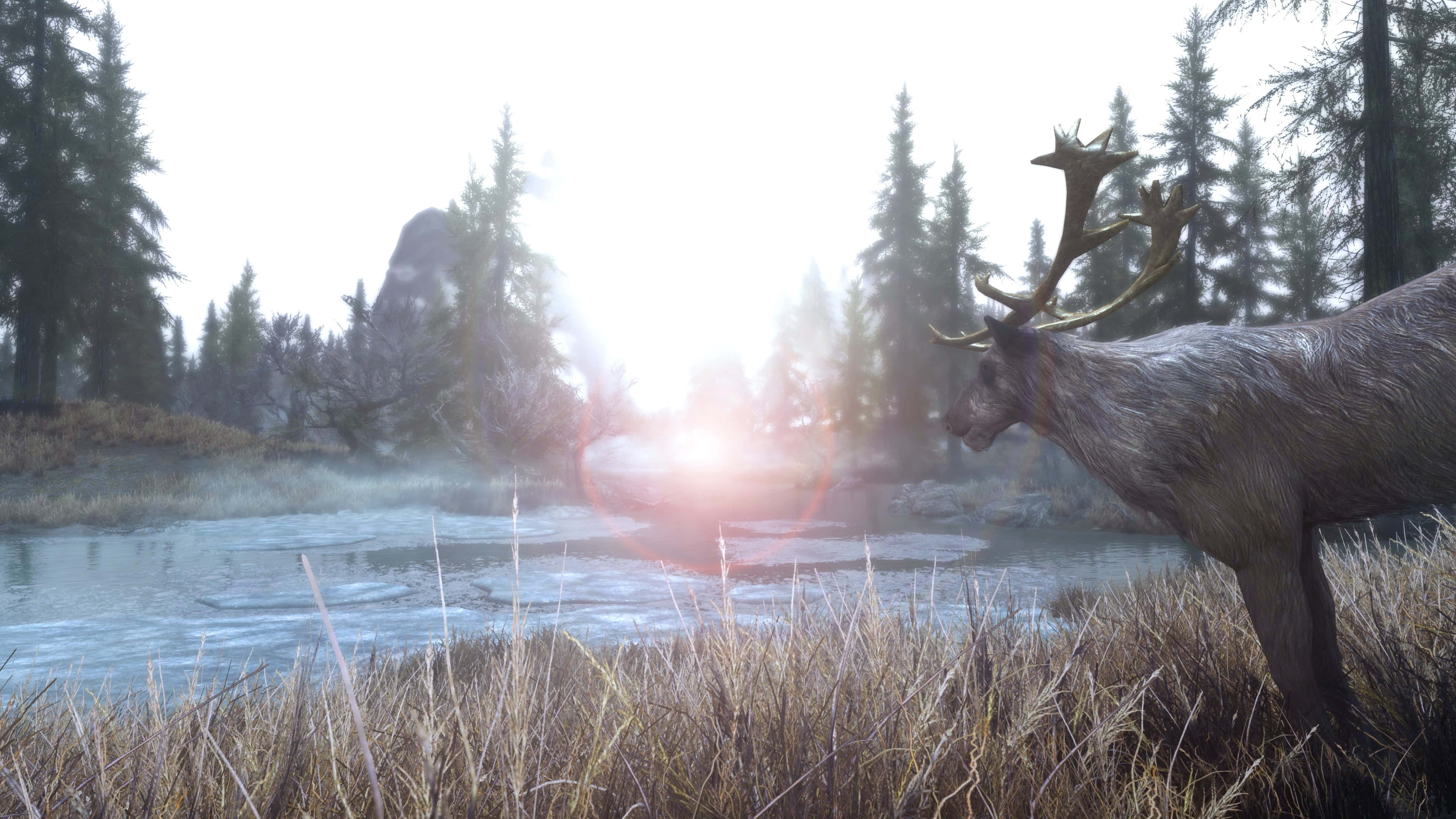 Skyrim Landscape 桌布 壁紙 — 一頭雄偉的雄鹿站在霧氣瀰漫的河邊，背後是松樹和初升的太陽。