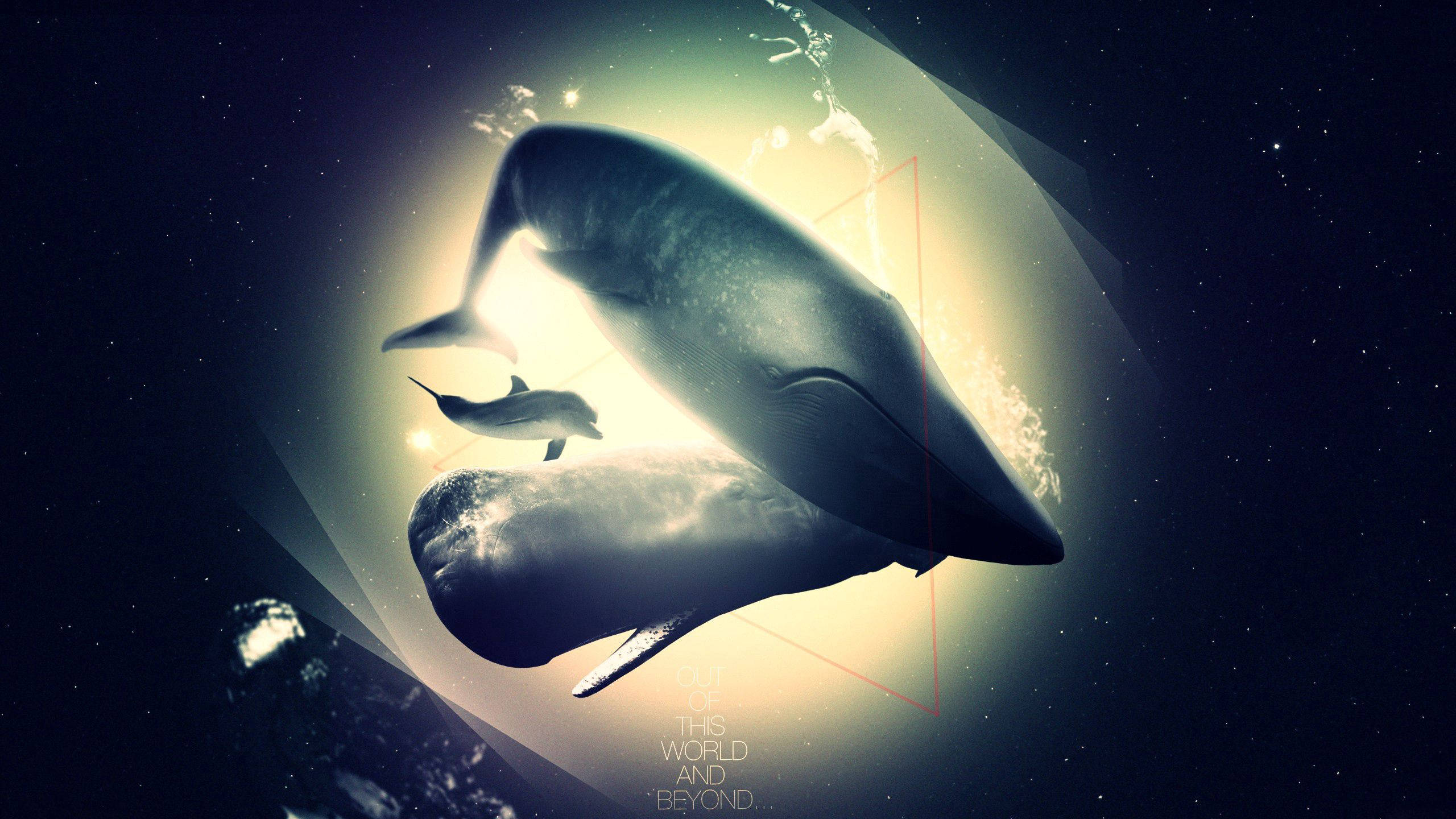 海豚 桌布 壁紙 — 一頭雄偉的鯨魚和幼鯨在星光環繞的發光天體下，滑過宇宙水域。