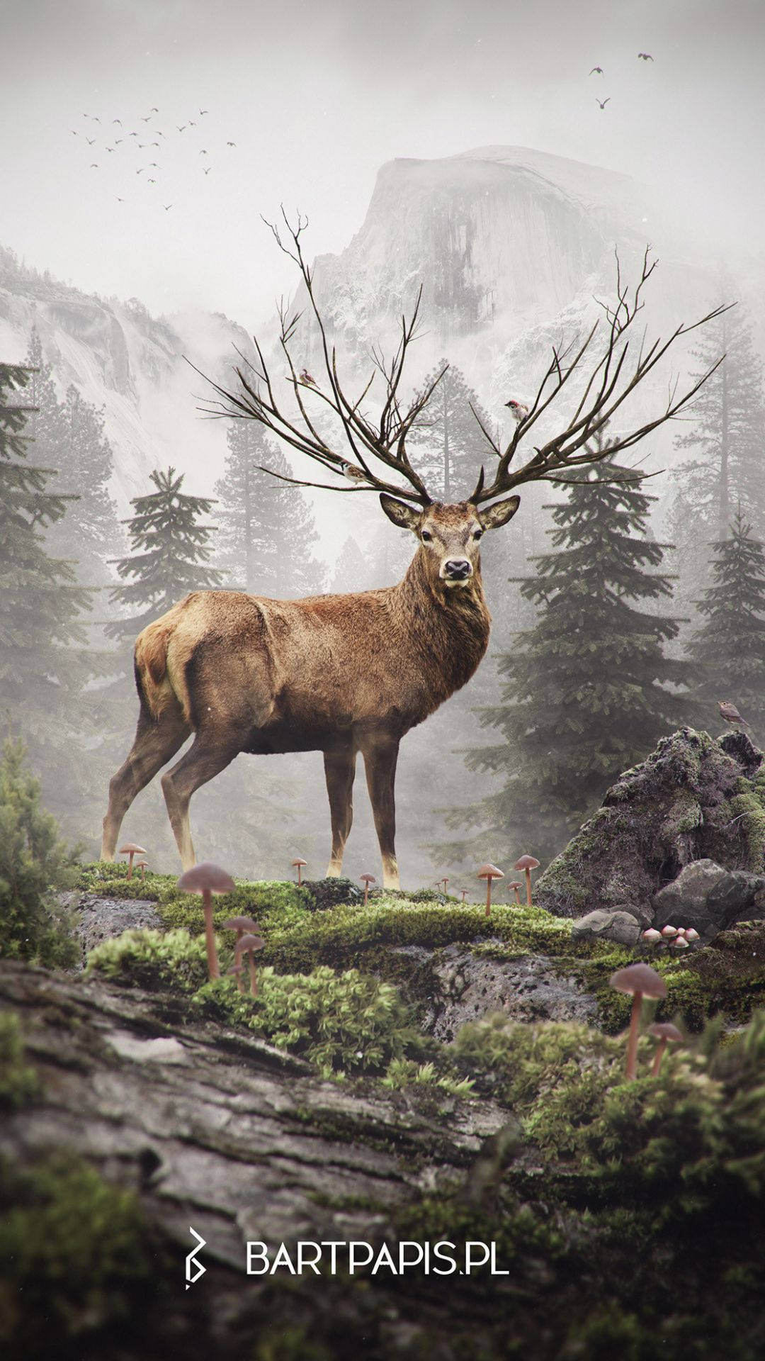 Deer iPhone 桌布 壁紙 — 一頭雄偉的鹿，長著寬大的鹿角，站在霧氣瀰漫的森林中，背景有山脈和鳥兒。