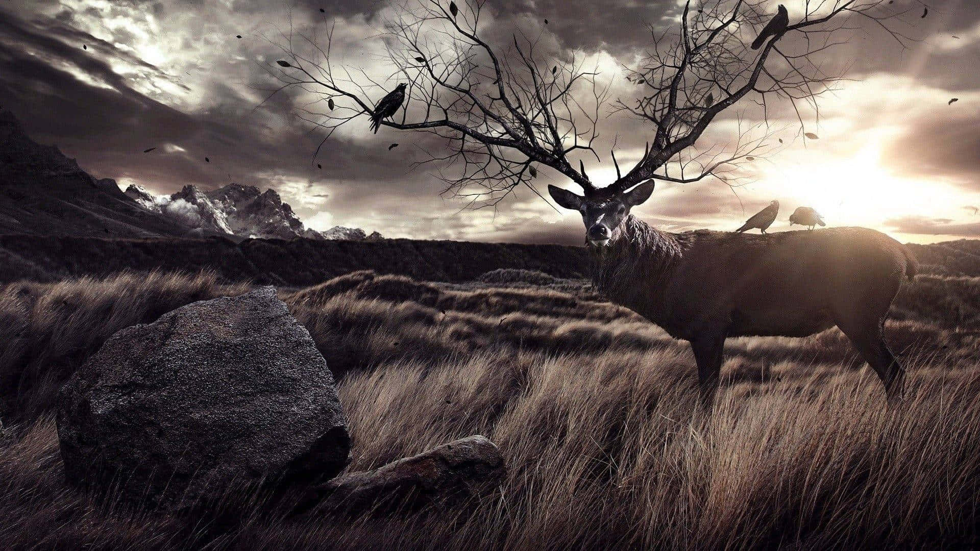 Deer Desktop 桌布 壁紙 — 一頭雄偉的鹿，鹿角形狀如光禿的樹枝，站在風吹過的田野上，烏鴉棲息在它的鹿角和肩膀上，背景是戲劇性的暮色天空。