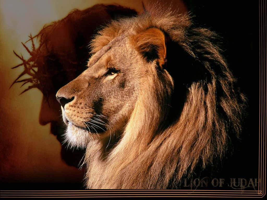 Lion Of Judah 桌布 壁紙 — 一頭雄獅側面，頭後疊加荊棘冠冕，沐浴在溫暖的金色光芒中，背景深色。