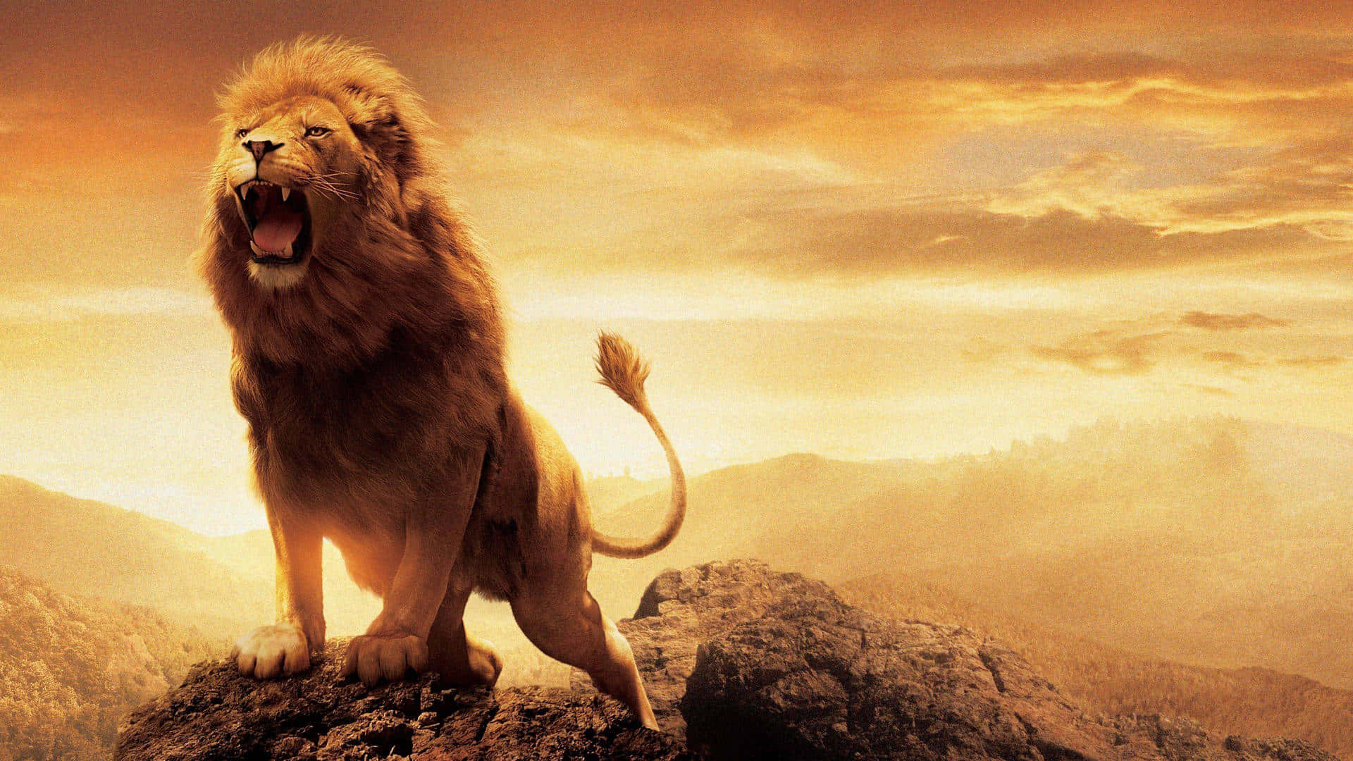 Lion Of Judah 桌布 壁紙 — 一頭雄獅在岩石山峰頂上勝利地咆哮，金色的夕陽光芒沐浴著遠處的山巒地平線。